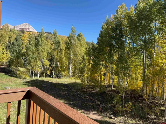 a view of a pathway of a yard