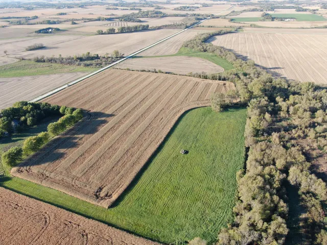 $975,000 | Tbd 270th Avenue Southwest, Hayfield, MN 55940