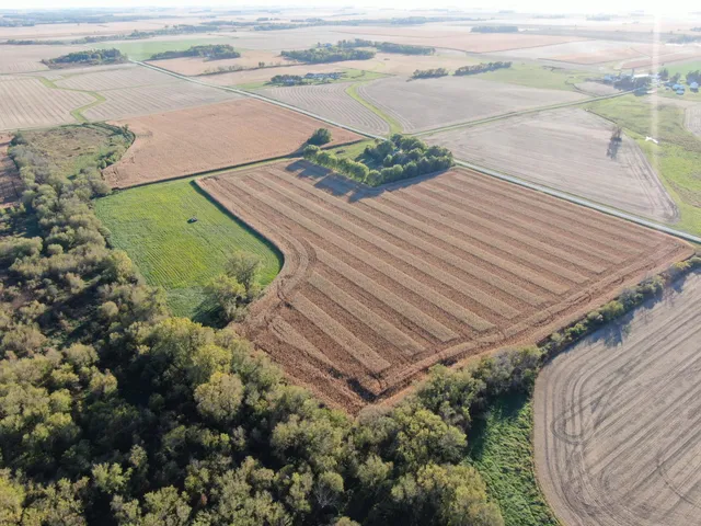 $975,000 | Tbd 270th Avenue Southwest, Hayfield, MN 55940