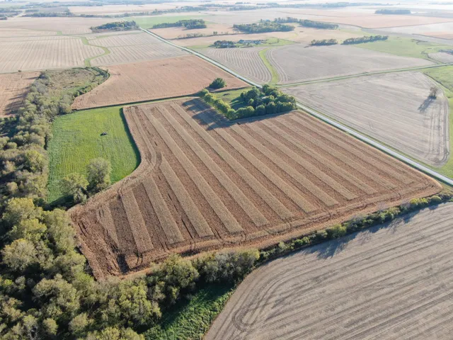 $975,000 | Tbd 270th Avenue Southwest, Hayfield, MN 55940