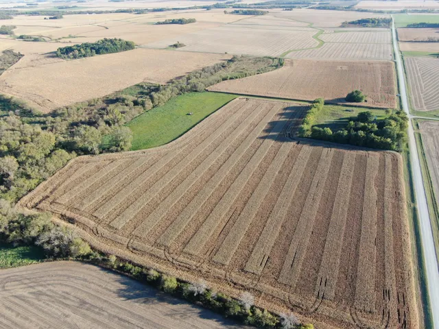 $975,000 | Tbd 270th Avenue Southwest, Hayfield, MN 55940