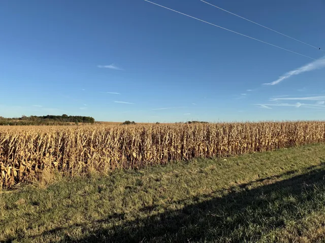 $975,000 | Tbd 270th Avenue Southwest, Hayfield, MN 55940