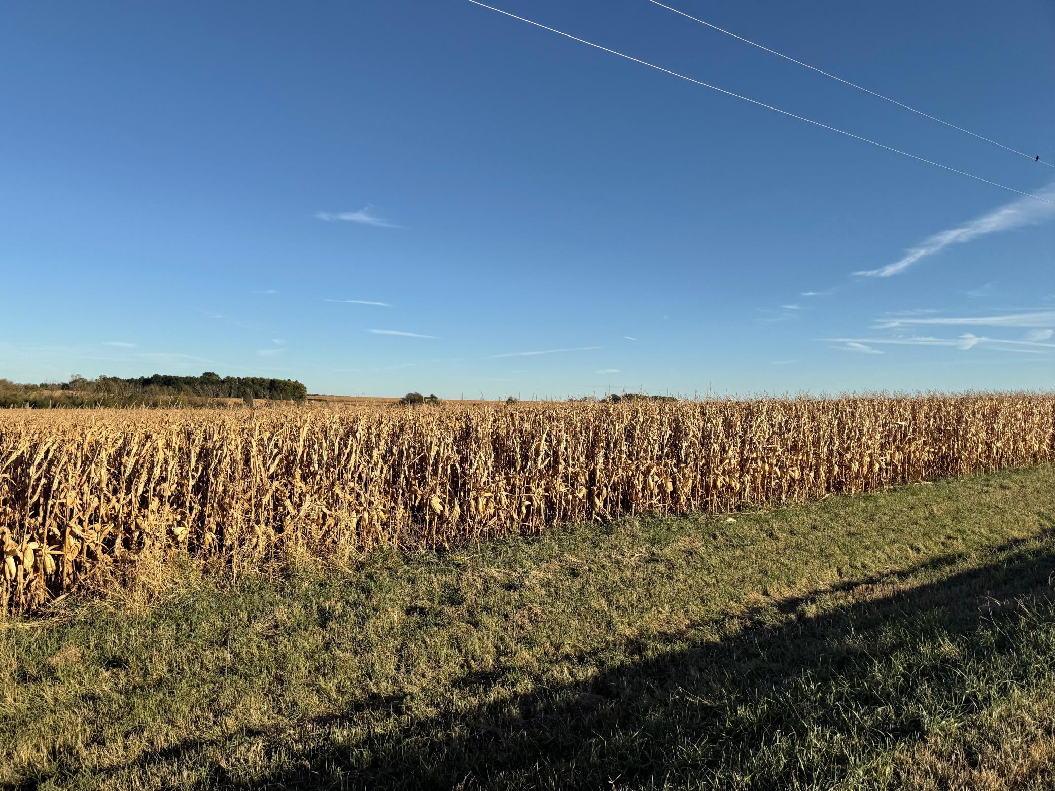 Tbd 270th Avenue Southwest Hayfield, MN 55940 - Photo 21 of 22