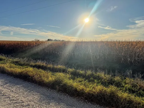 $825,000 | Tbd 270th Avenue Southwest, Hayfield, MN 55940