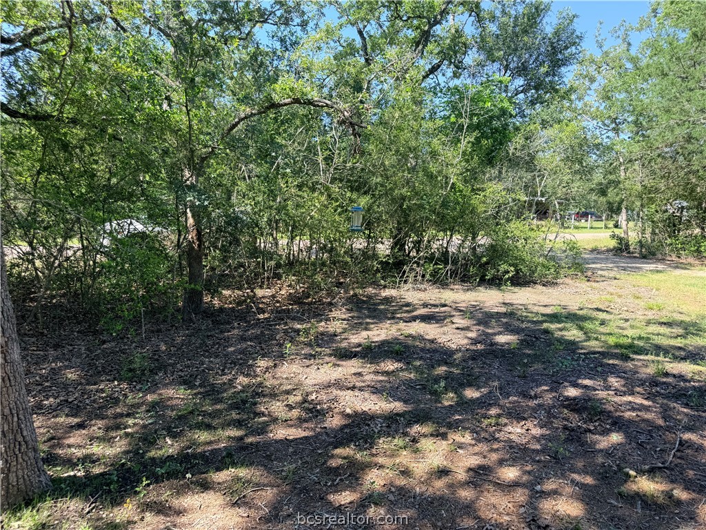 281 Redberry Road Somerville, TX 77879 - Photo 11 of 15