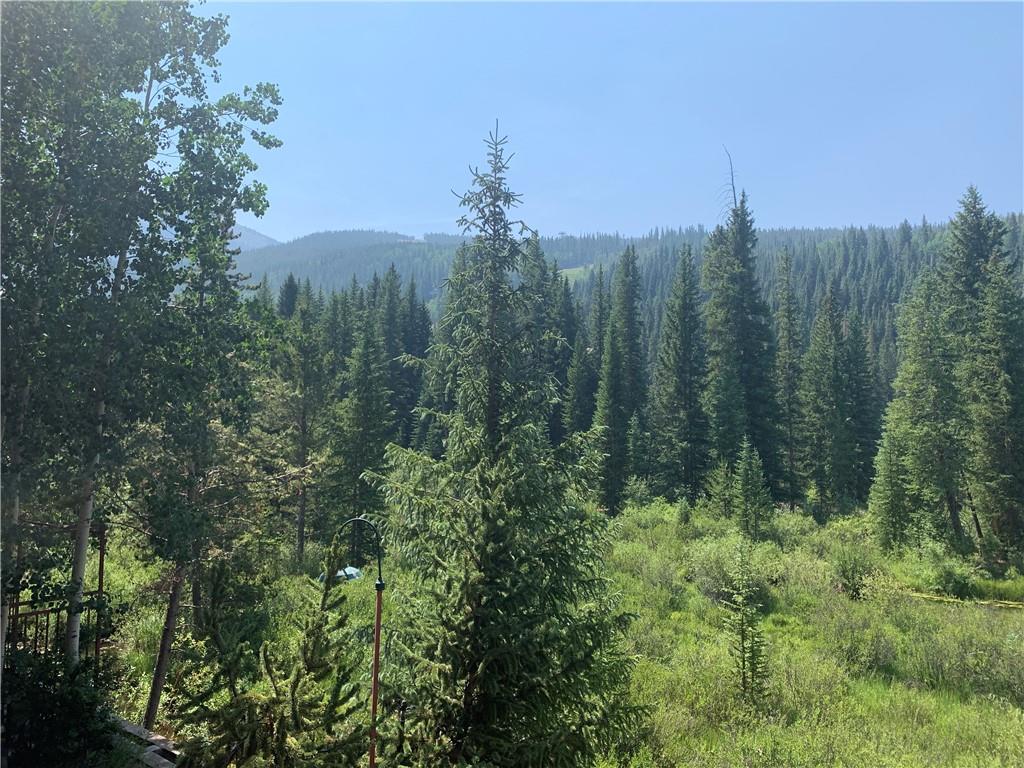 72 River Run Road Keystone, CO 80435 - Photo 2 of 35 a view of a city with lush green forest