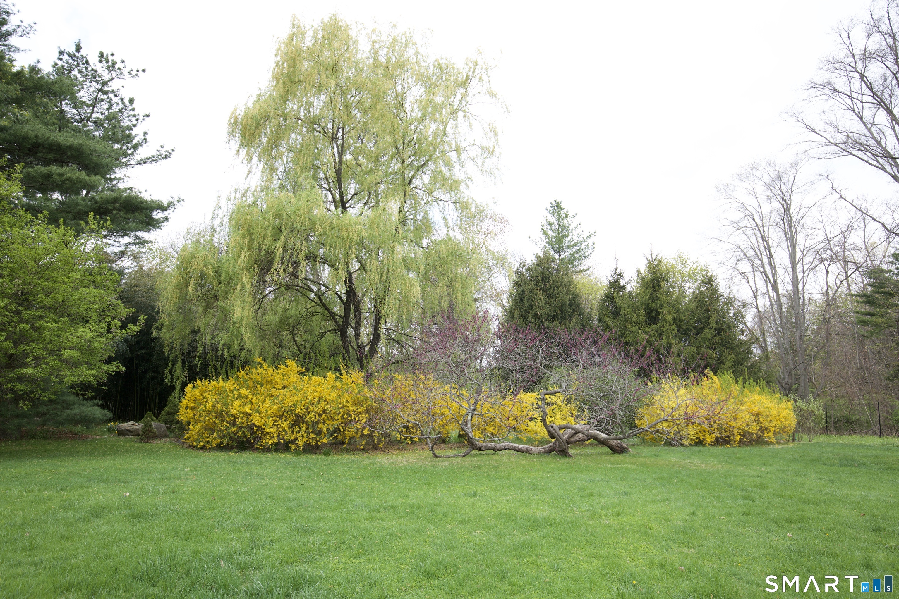 11 Clapboard Hill Road Westport, CT 06880 - Photo 11 of 22
