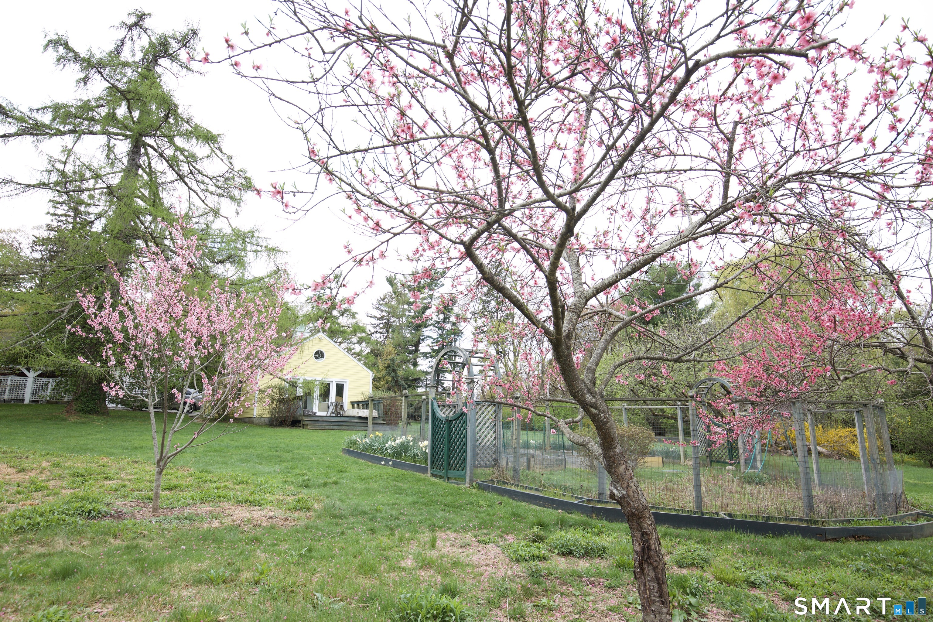 11 Clapboard Hill Road Westport, CT 06880 - Photo 13 of 22