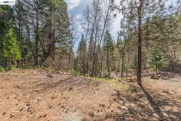 $345,000 | 121 Mountain Aire Lane, Trinity Center, CA 96091