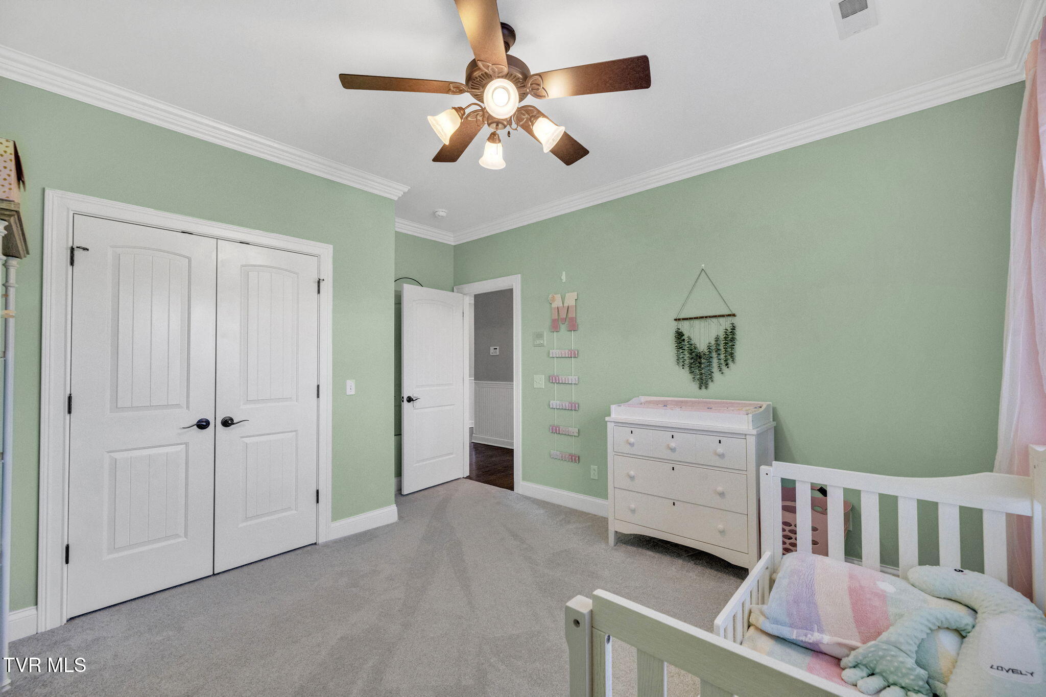 301 Sunset Ridge Court Johnson City, TN 37615 - Photo 40 of 80 70-web-or-mls-DSC02958