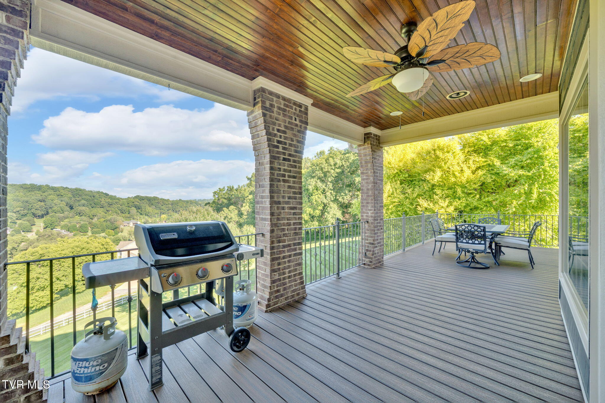 301 Sunset Ridge Court Johnson City, TN 37615 - Photo 54 of 80 10-web-or-mls-DSC02922