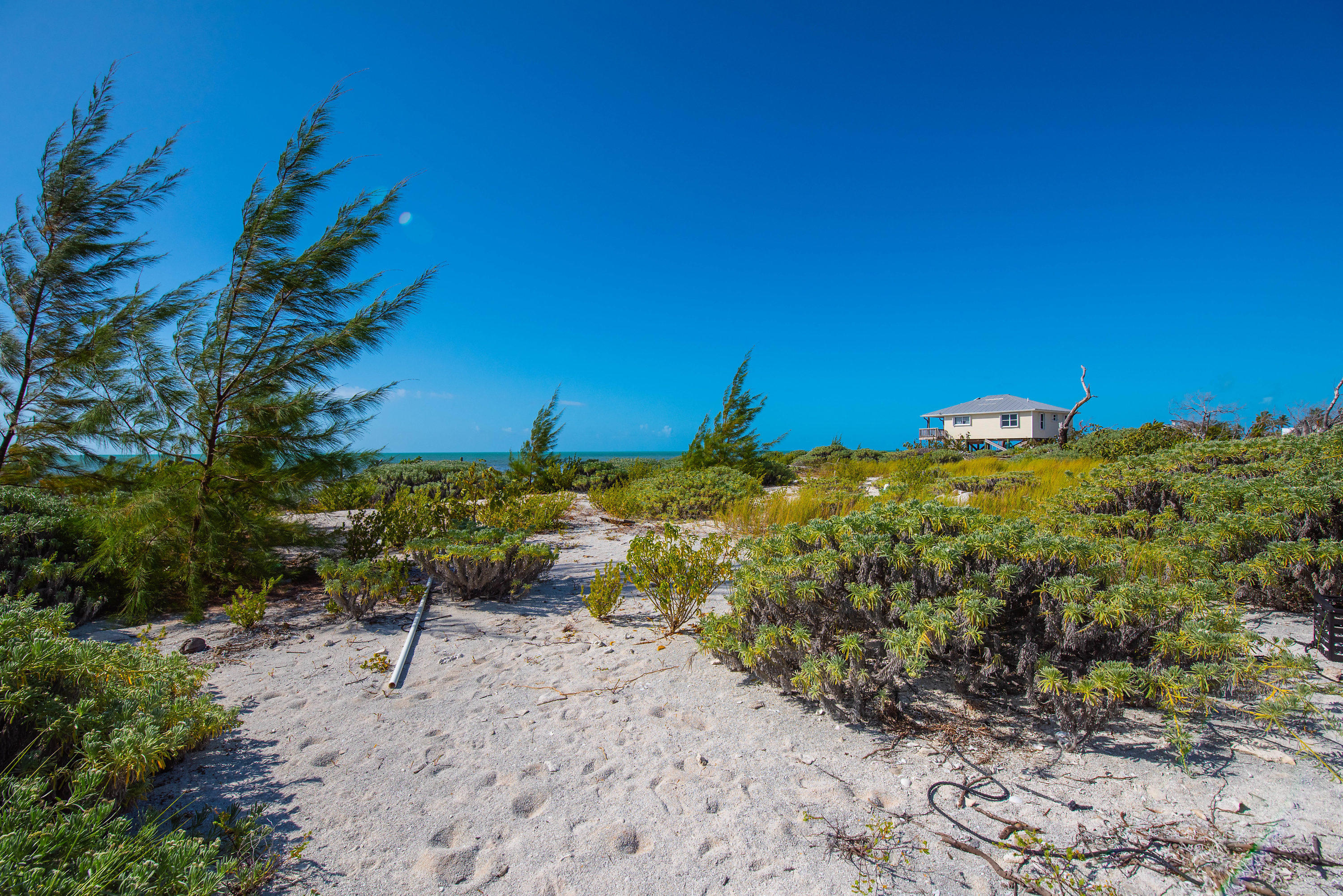 2 Cooks Island Big Pine Key, FL 33043 - Photo 14 of 26 a view of a beach with a yard