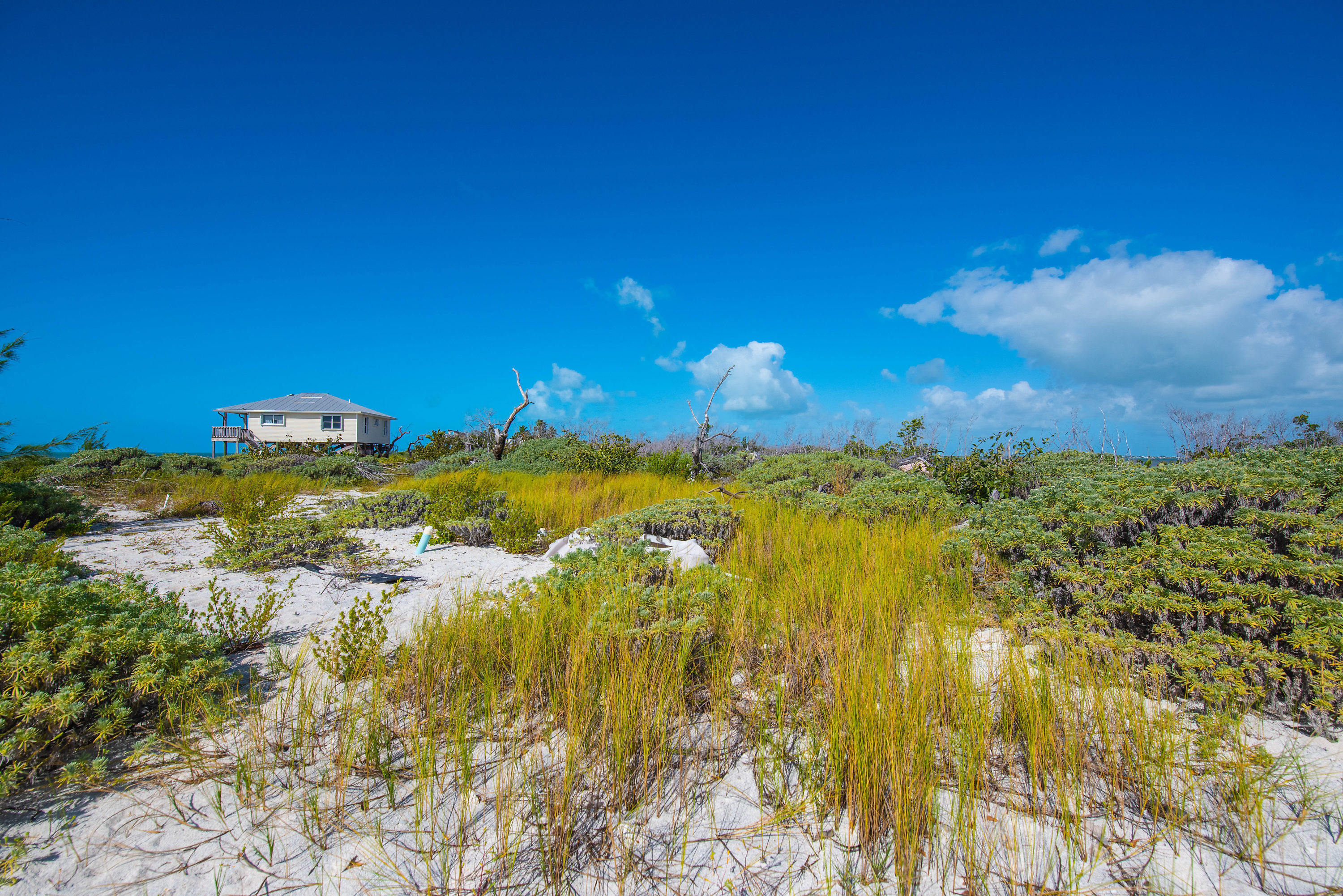 2 Cooks Island Big Pine Key, FL 33043 - Photo 15 of 26