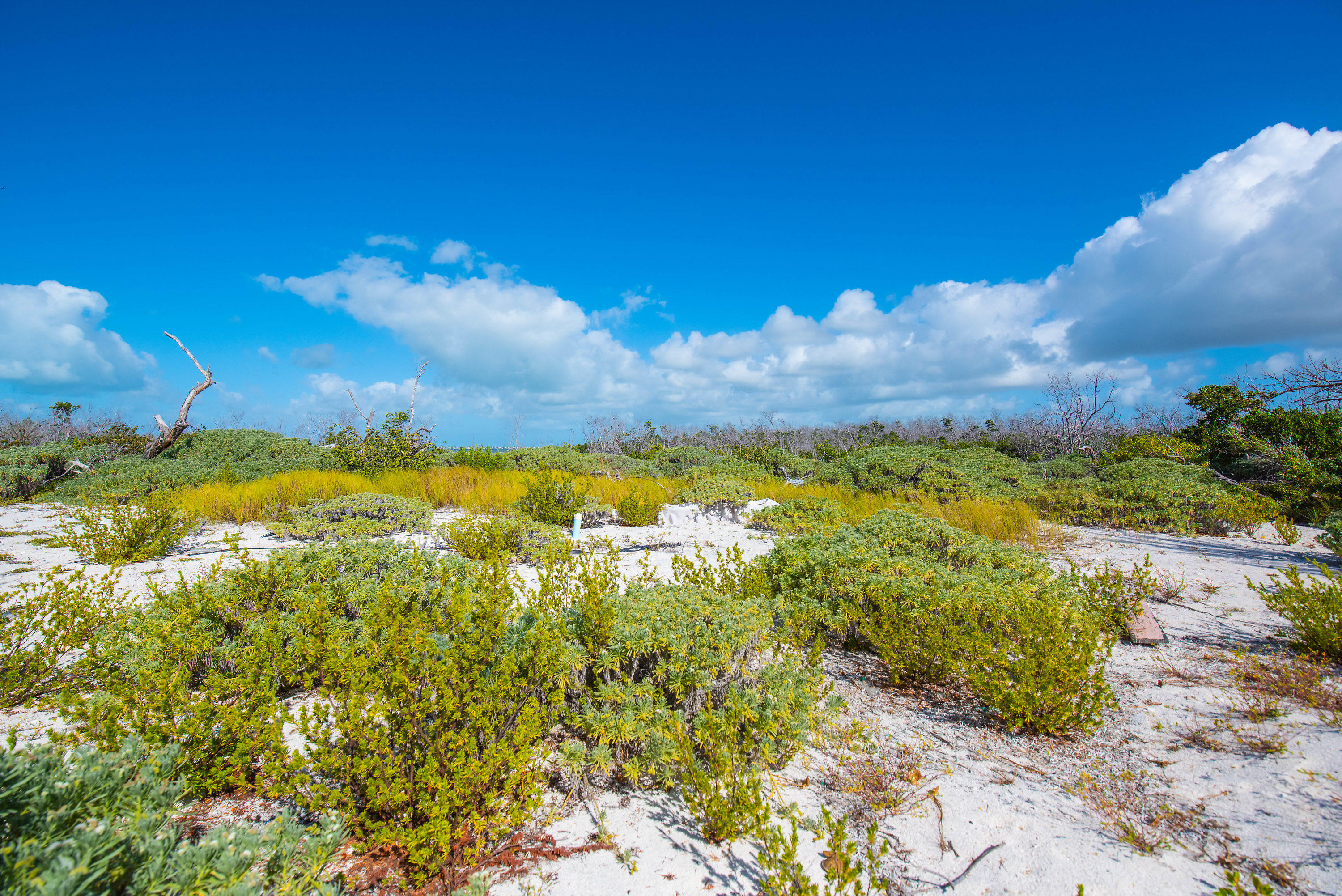 2 Cooks Island Big Pine Key, FL 33043 - Photo 16 of 26 a view of a houses with a yard