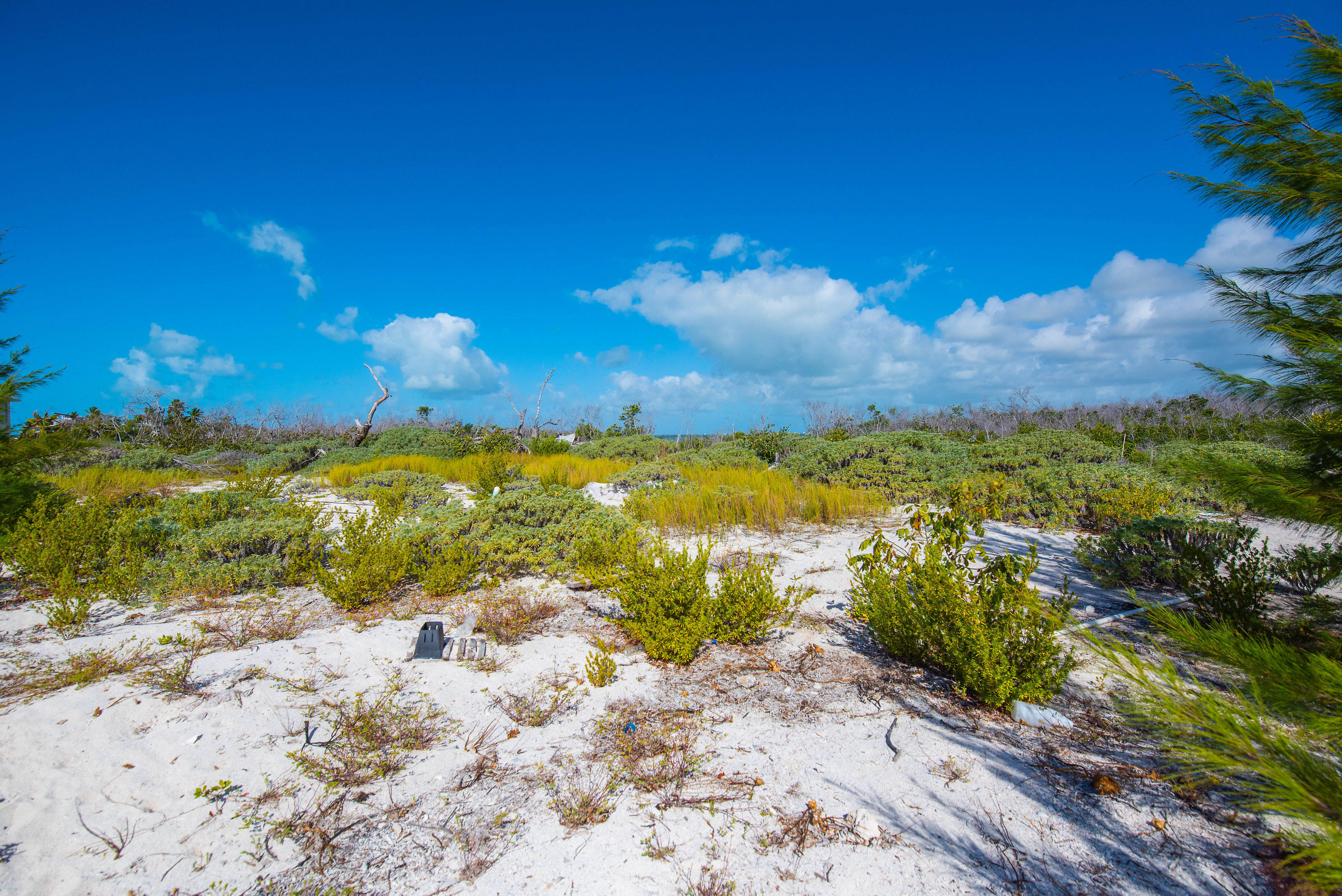 2 Cooks Island Big Pine Key, FL 33043 - Photo 17 of 26 a view of a beach with a yard