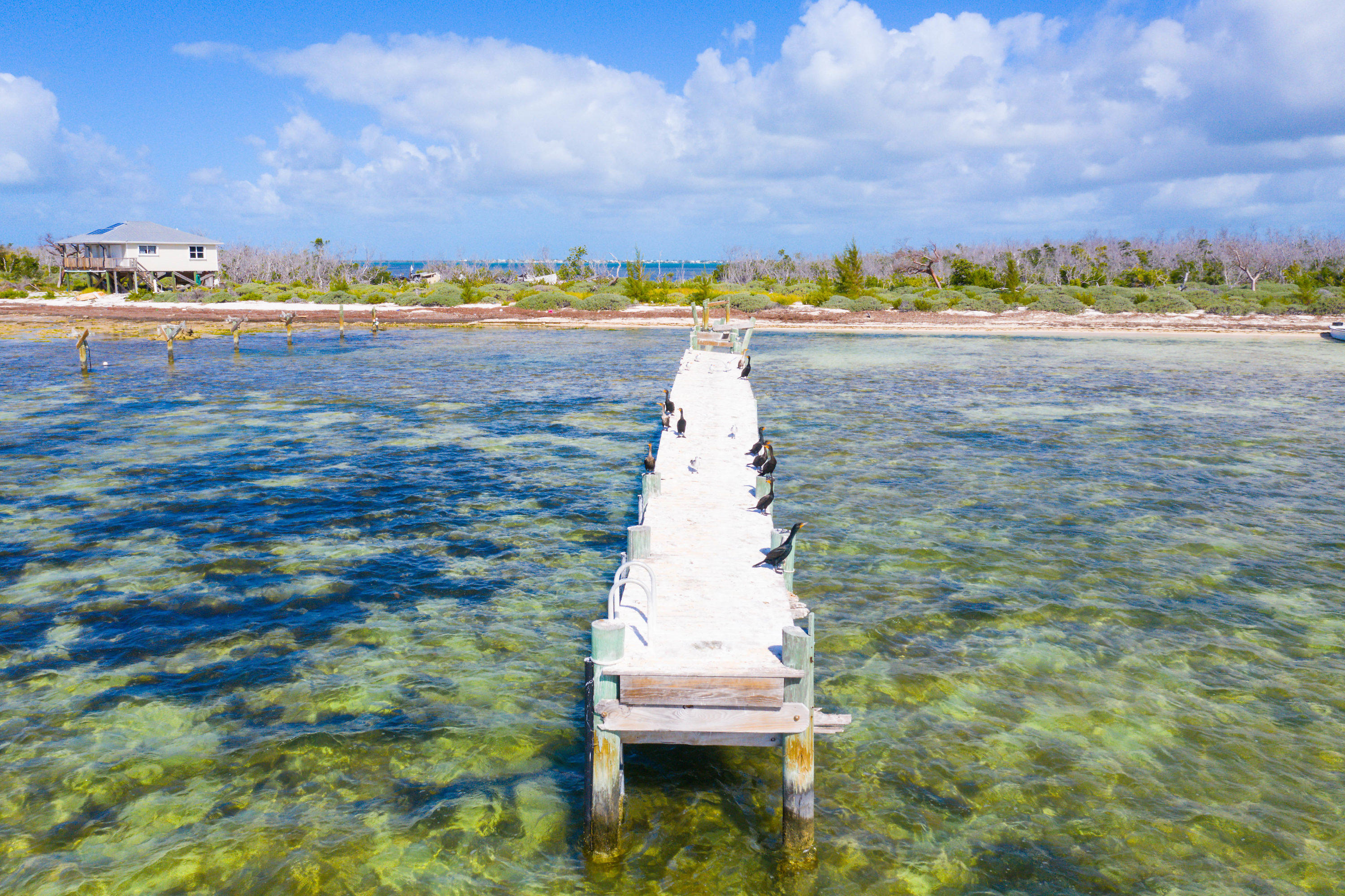2 Cooks Island Big Pine Key, FL 33043 - Photo 18 of 26 a view of an ocean and beach