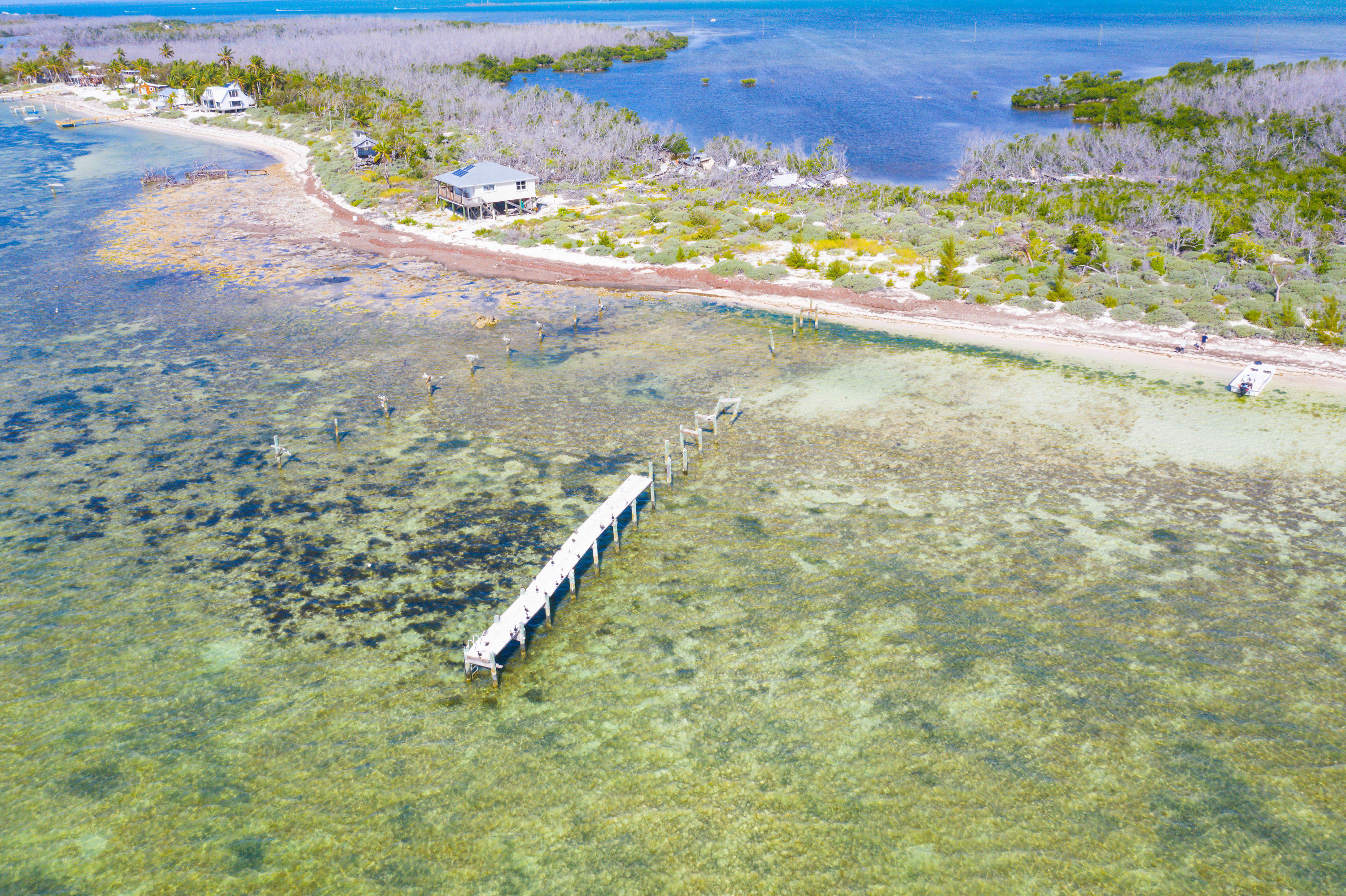 2 Cooks Island Big Pine Key, FL 33043 - Photo 19 of 26 a view of a yard with a wooden fence