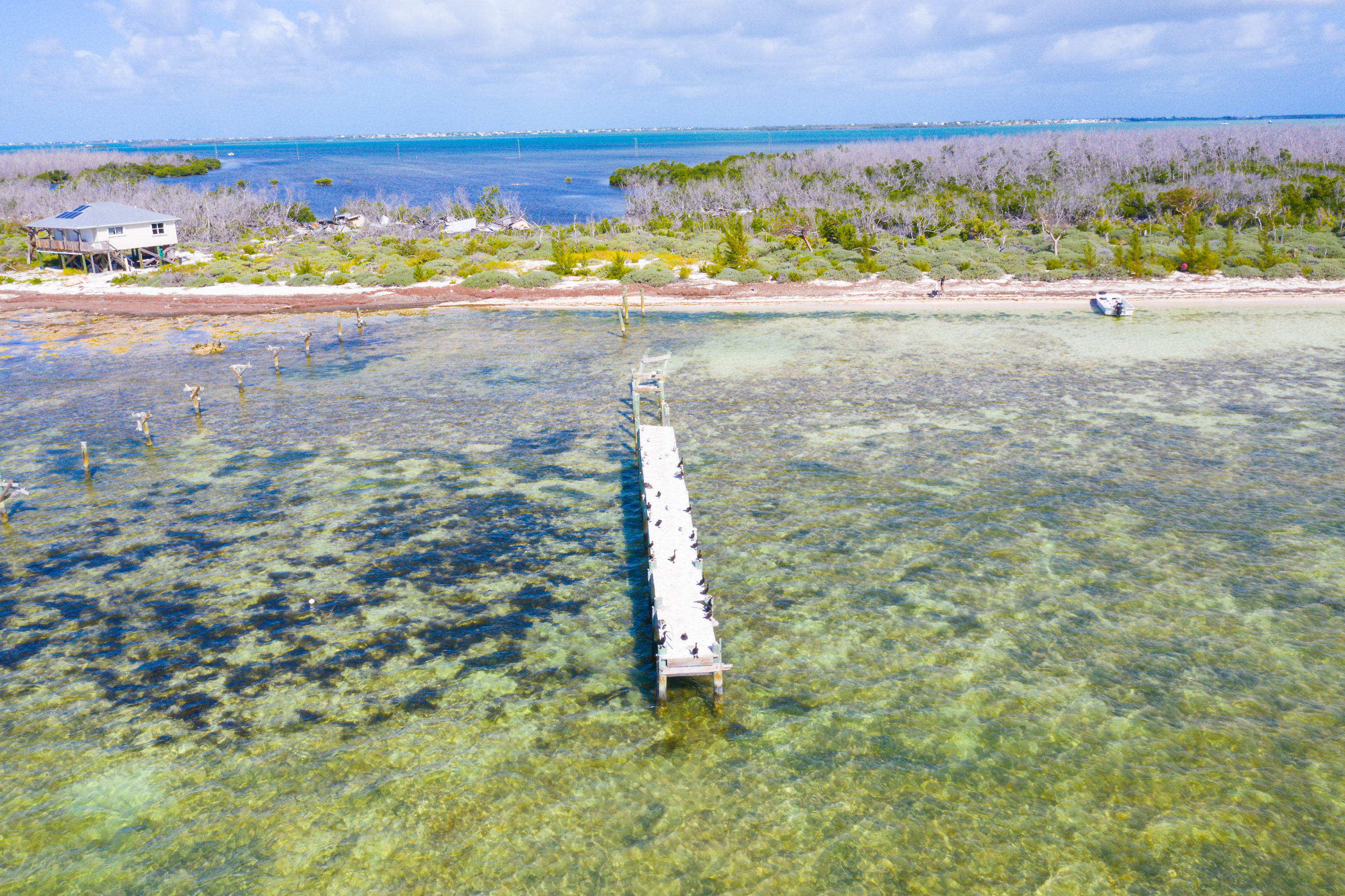 2 Cooks Island Big Pine Key, FL 33043 - Photo 20 of 26 a view of a garden with an outdoor space