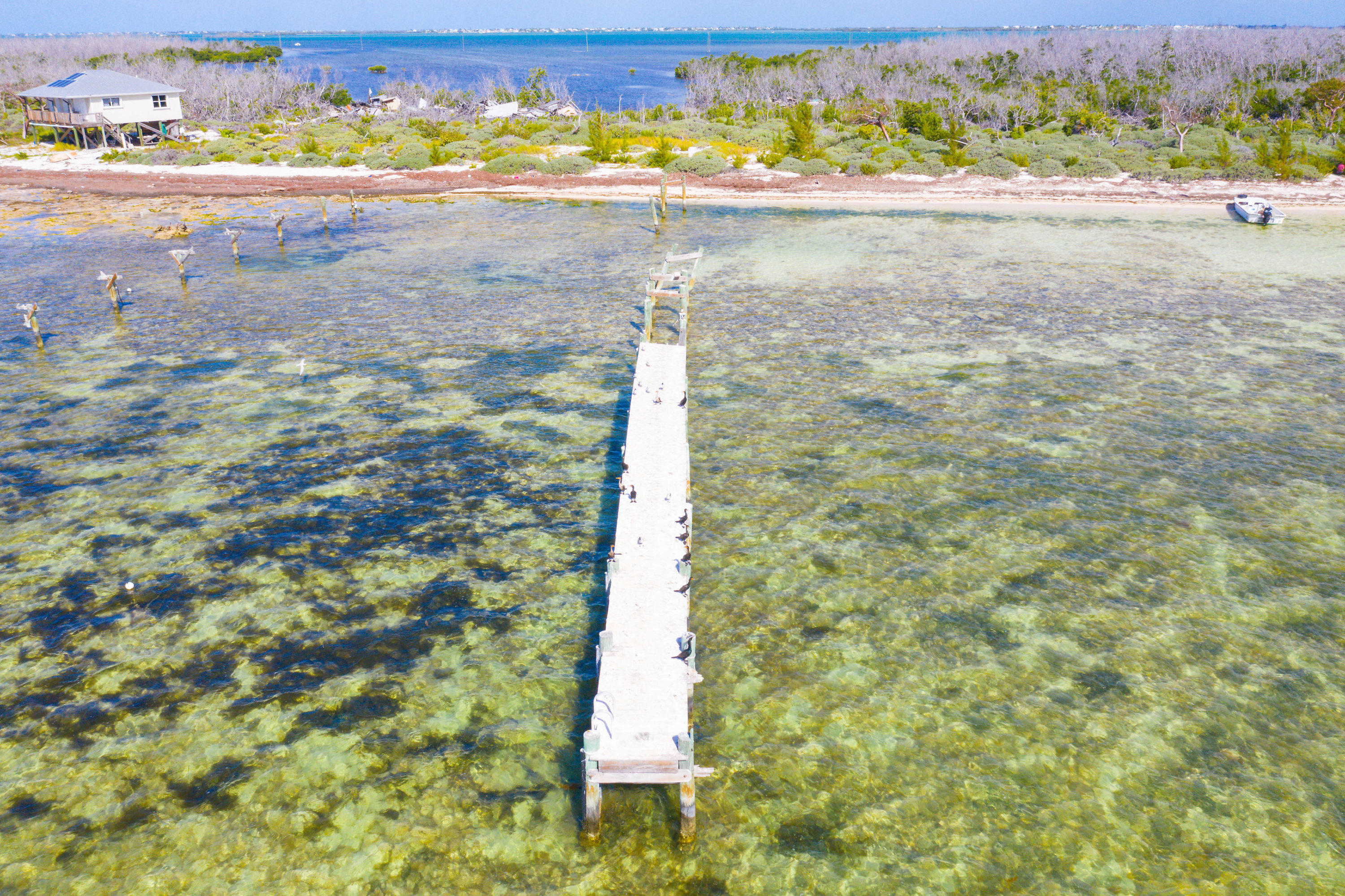 2 Cooks Island Big Pine Key, FL 33043 - Photo 6 of 26 a view of a yard with an outdoor space
