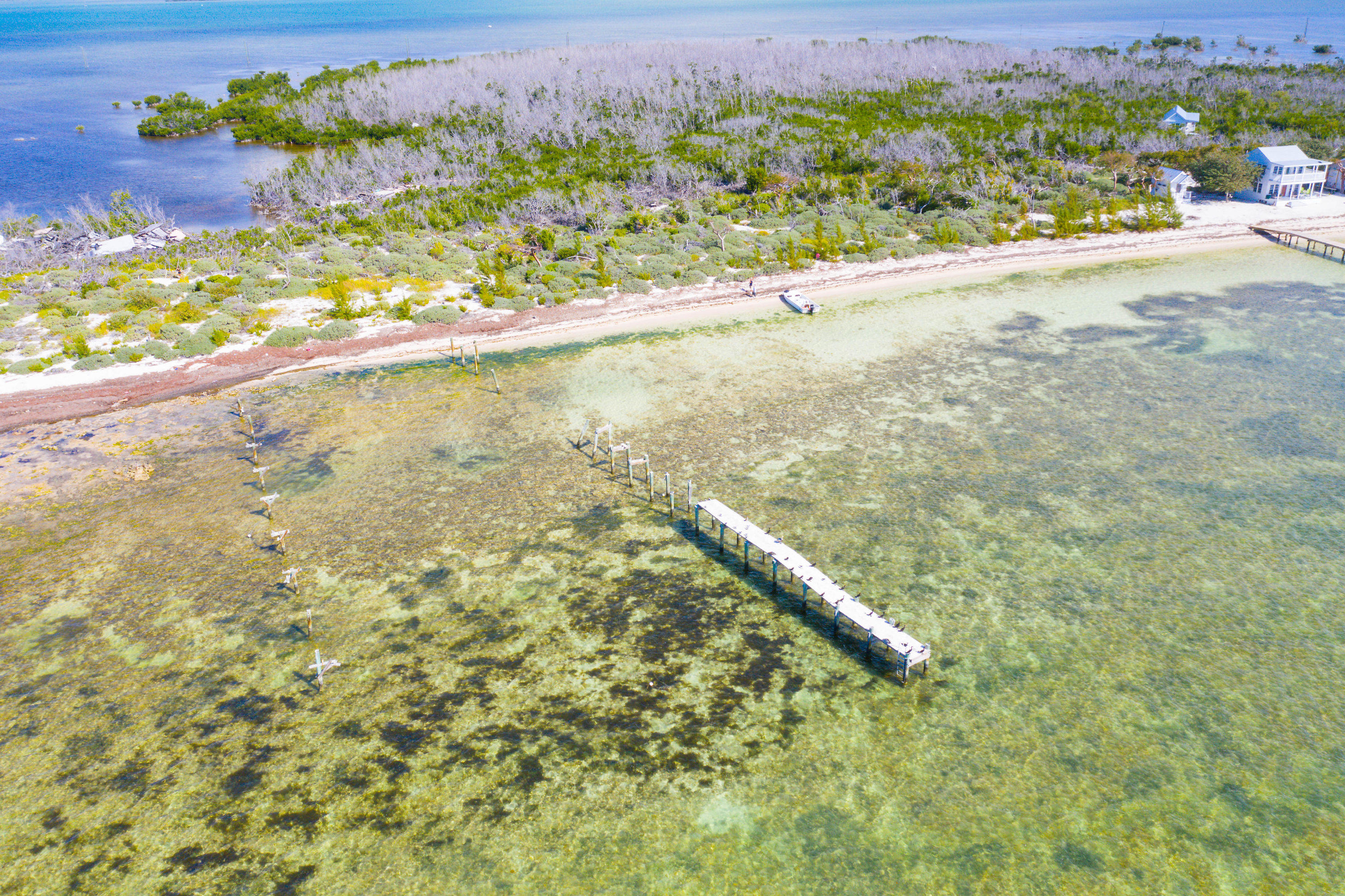 2 Cooks Island Big Pine Key, FL 33043 - Photo 9 of 26 a view of a yard with an outdoor space