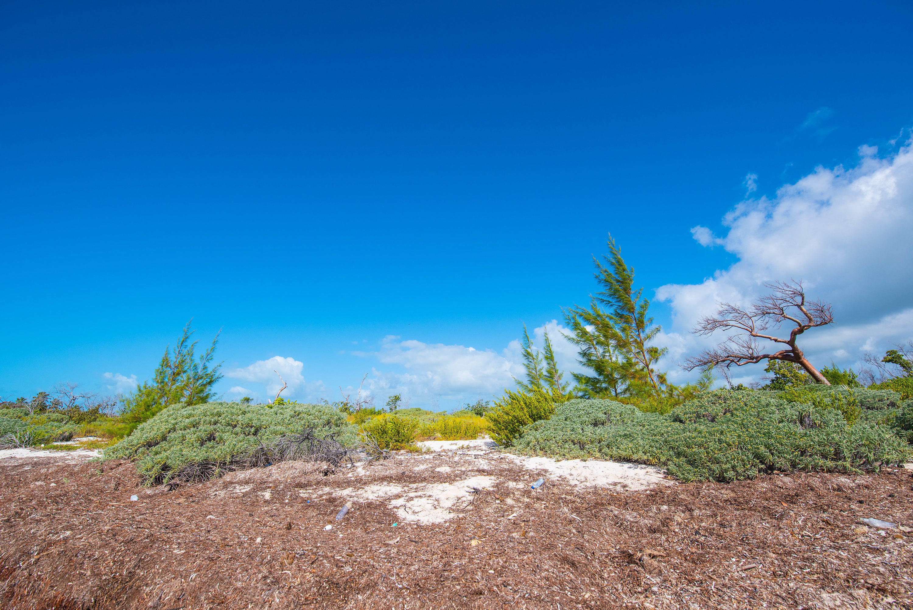 2 Cooks Island Big Pine Key, FL 33043 - Photo 10 of 26 a view of a yard