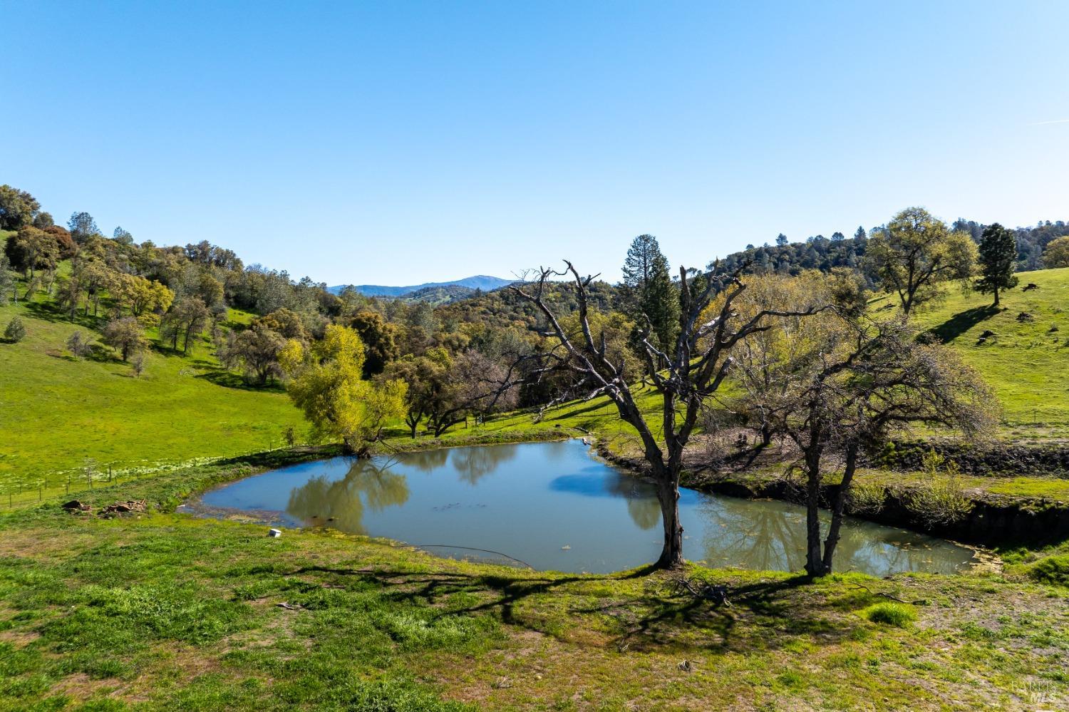 16554 Cocoran Gray Road Groveland, CA 95321 - Photo 2 of 38