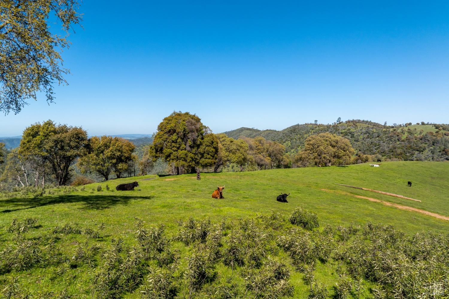 16554 Cocoran Gray Road Groveland, CA 95321 - Photo 3 of 38