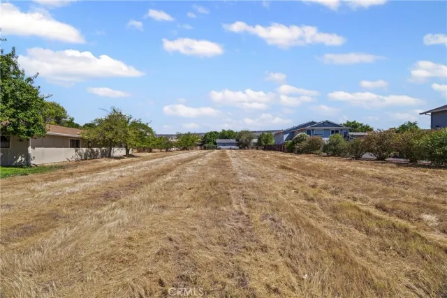 a view of a dry yard with wooden fence