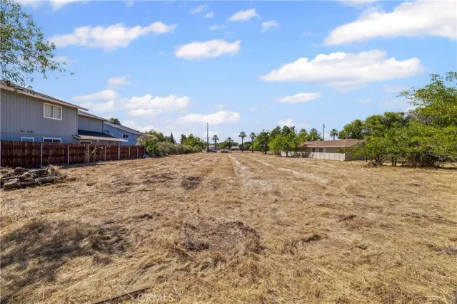 a view of a yard with an trees