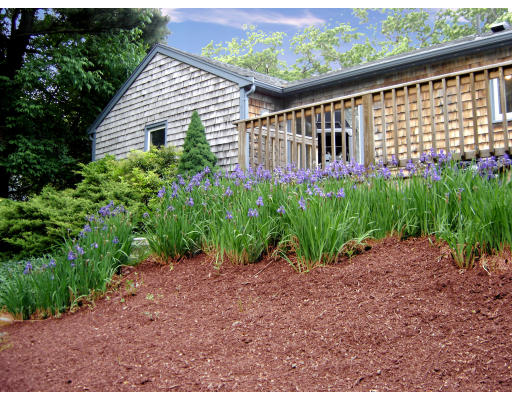 10 Rich Valley Road Wayland, MA 01778 - Photo 3 of 8 a view of a backyard with plants