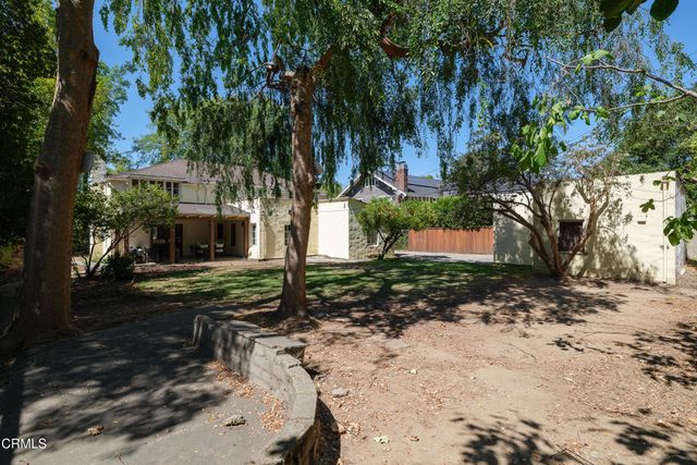 a view of a yard with plants and trees