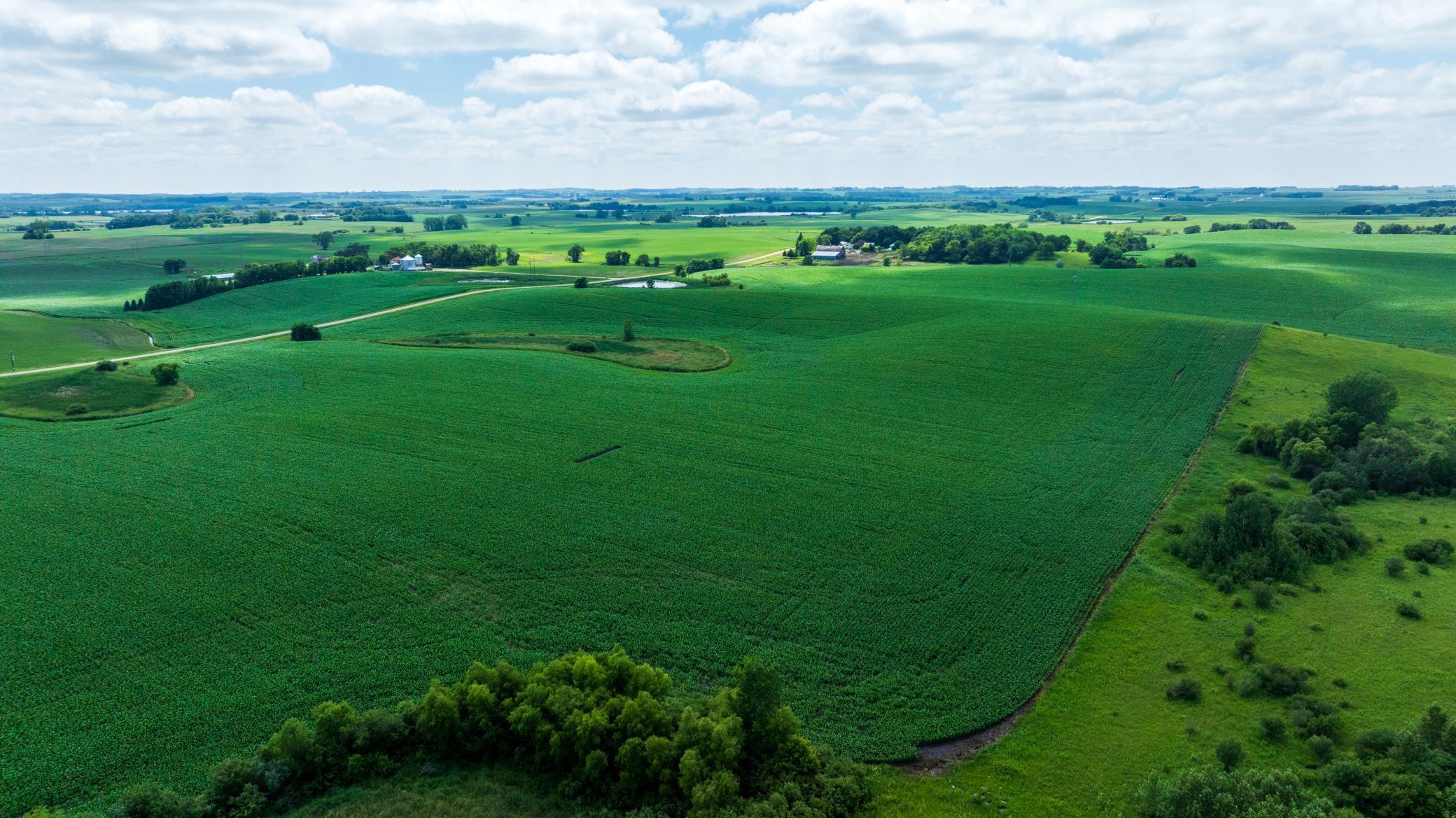 Tbd 370th Street Erhard, MN 56534 - Photo 1 of 31