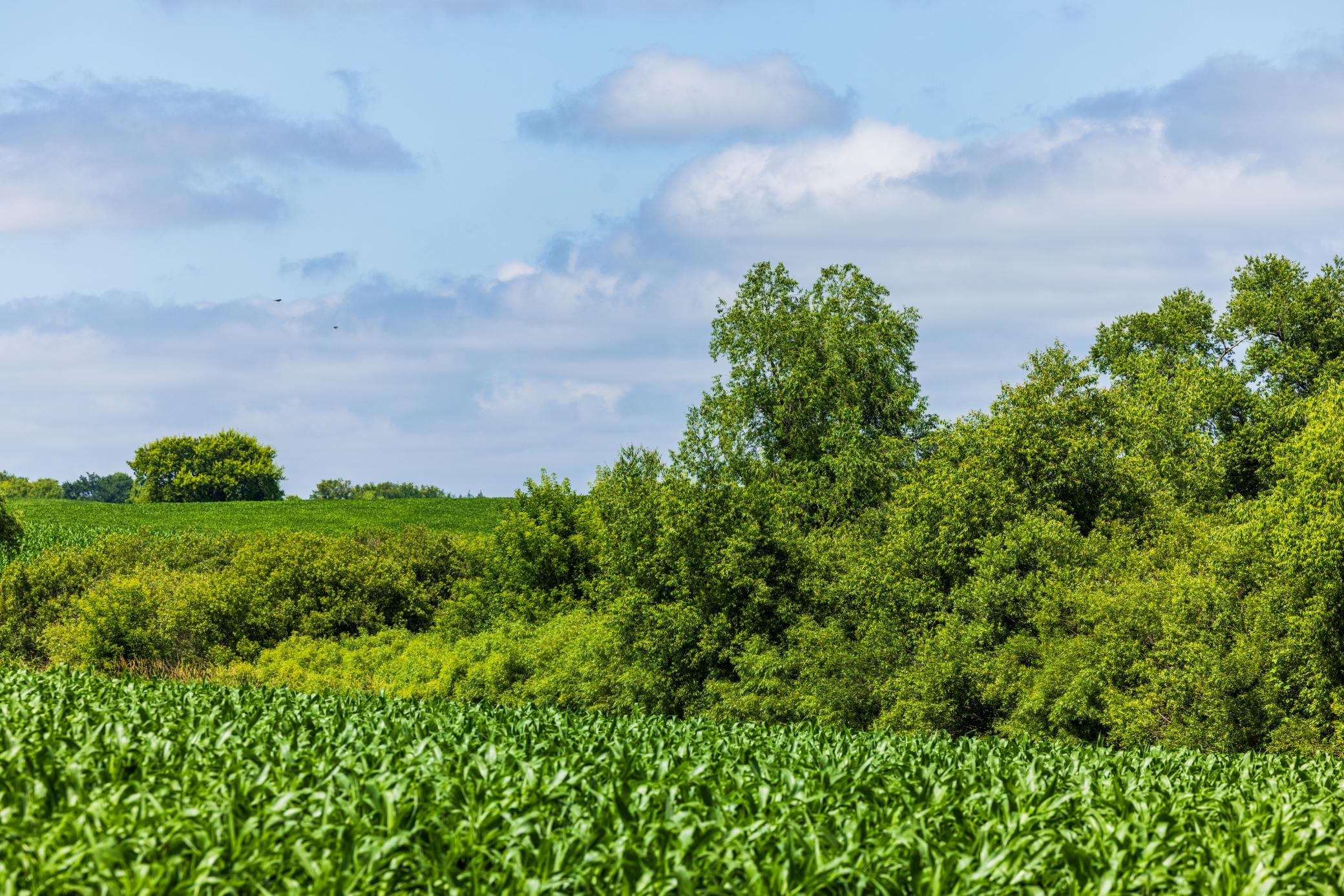 Tbd 370th Street Erhard, MN 56534 - Photo 17 of 31