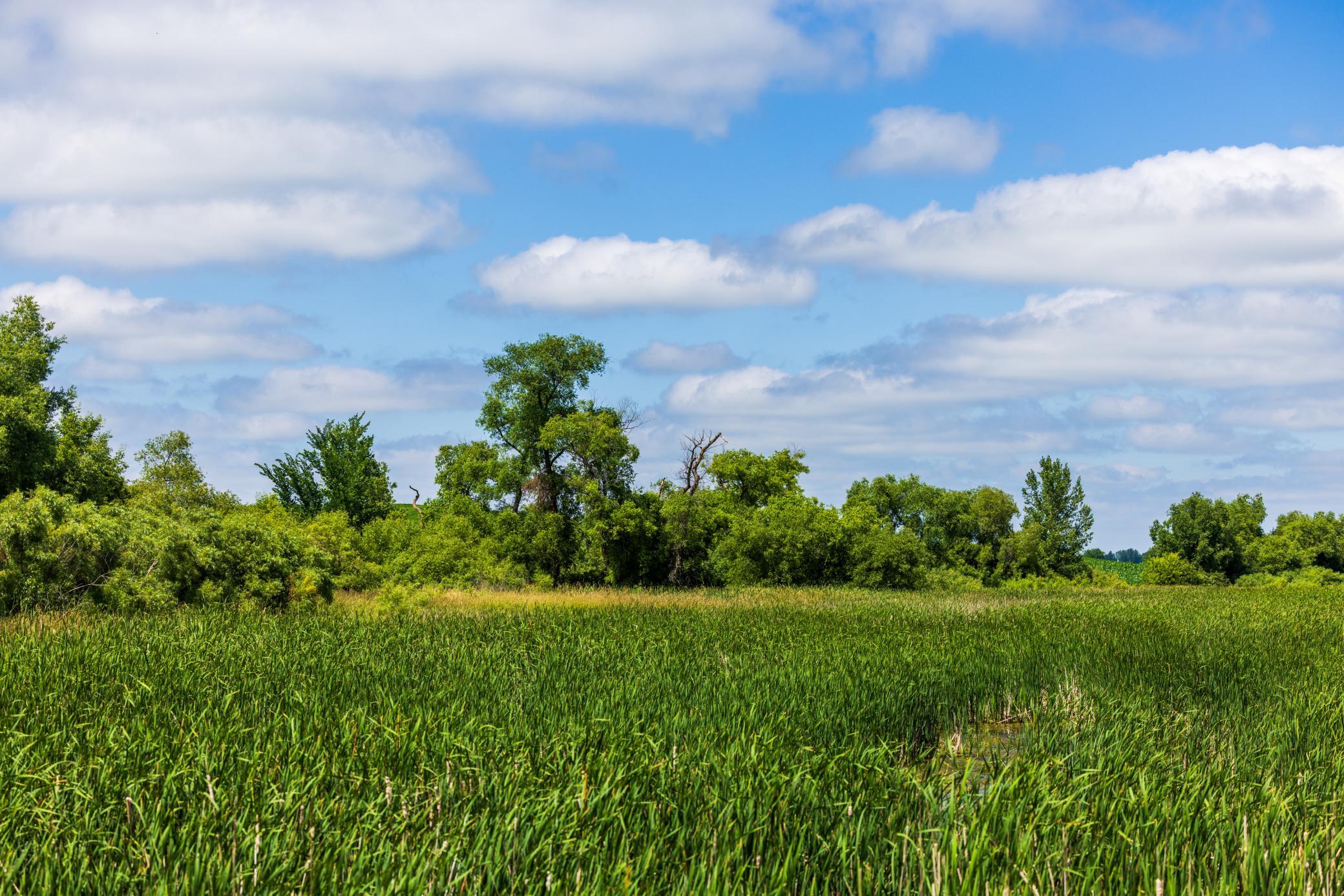 Tbd 370th Street Erhard, MN 56534 - Photo 18 of 31