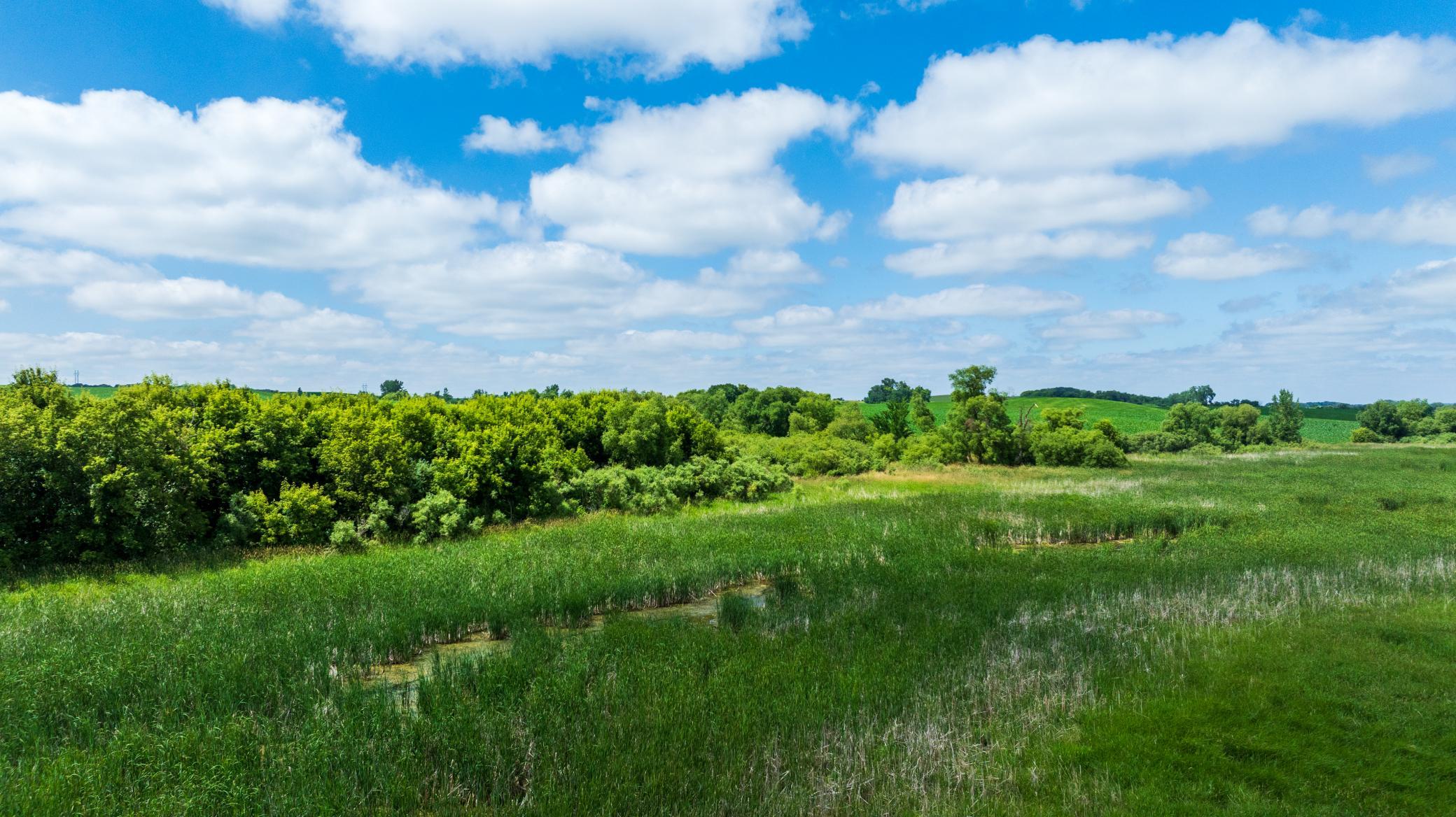 Tbd 370th Street Erhard, MN 56534 - Photo 22 of 31