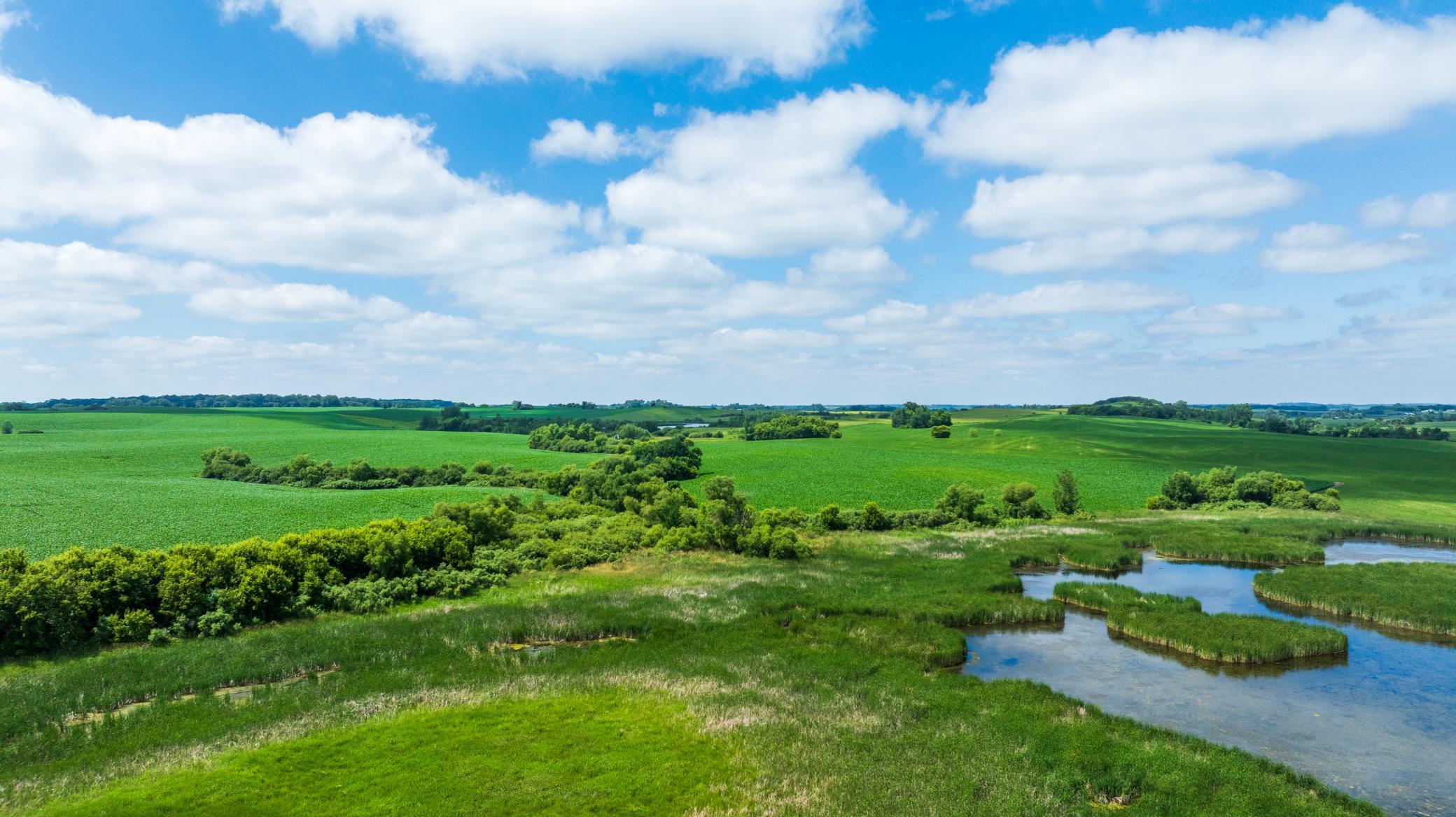 Tbd 370th Street Erhard, MN 56534 - Photo 23 of 31