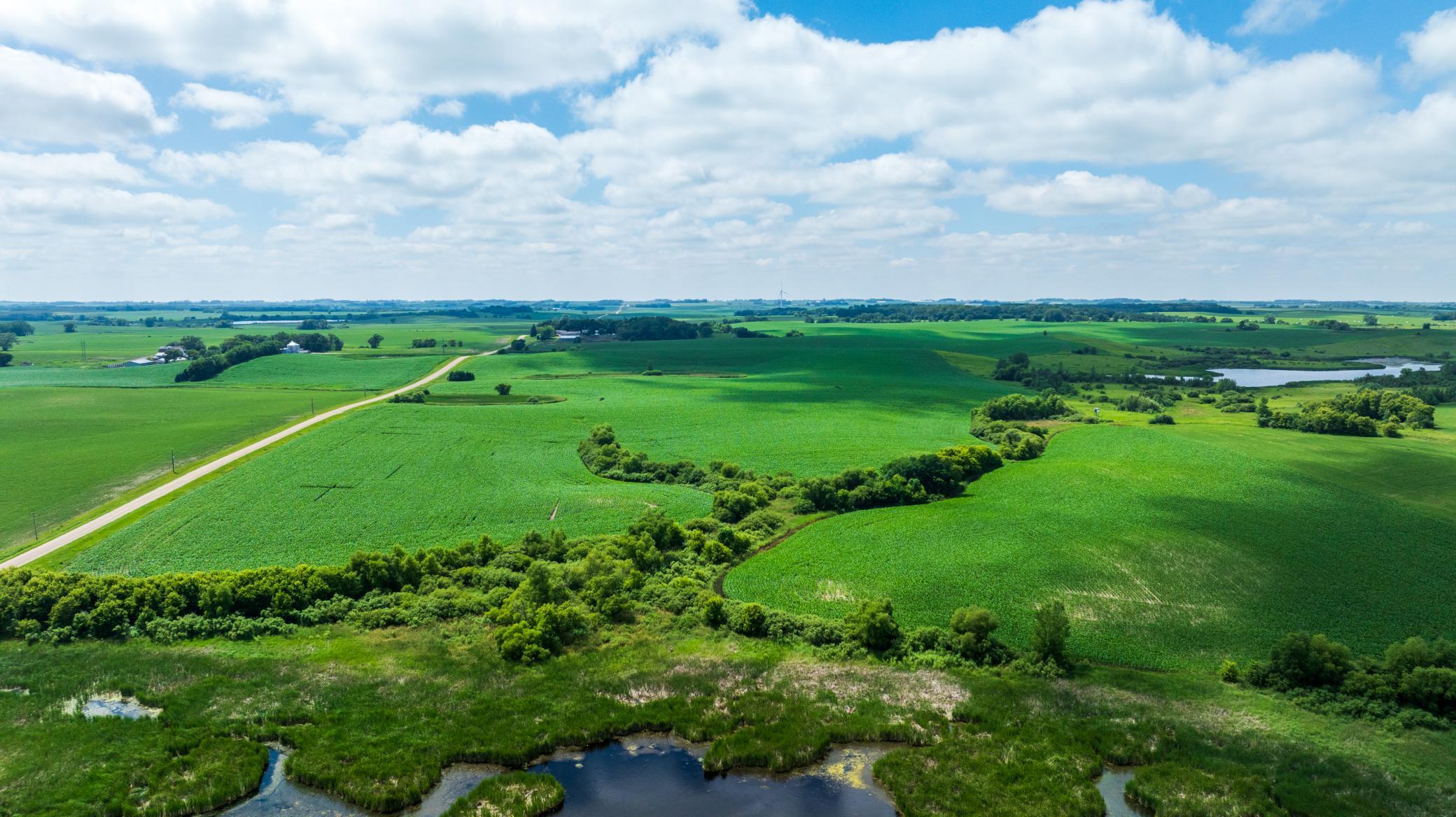 Tbd 370th Street Erhard, MN 56534 - Photo 26 of 31