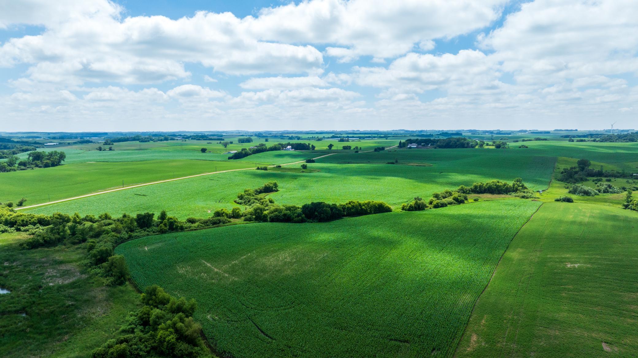Tbd 370th Street Erhard, MN 56534 - Photo 27 of 31