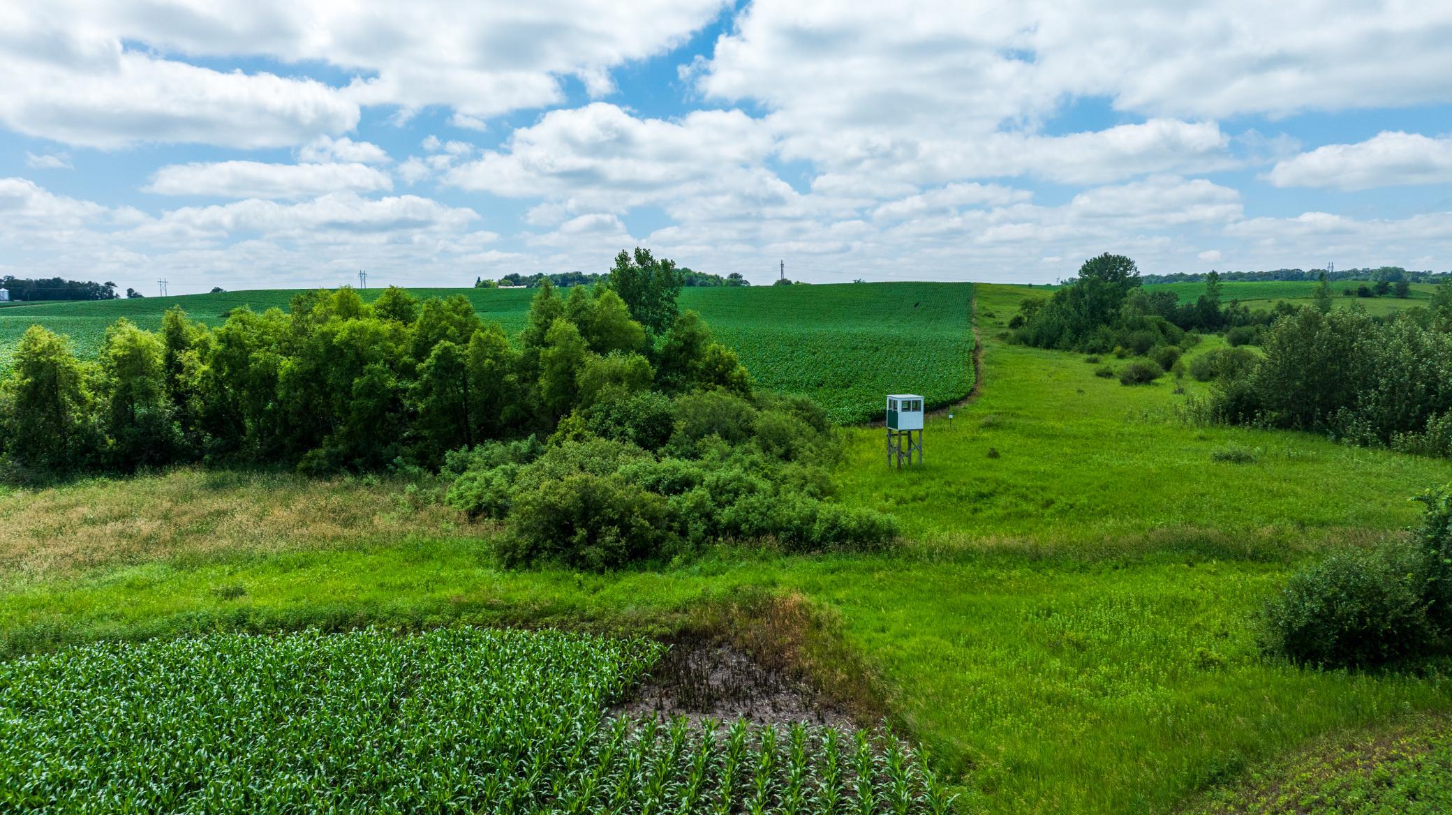 Tbd 370th Street Erhard, MN 56534 - Photo 28 of 31