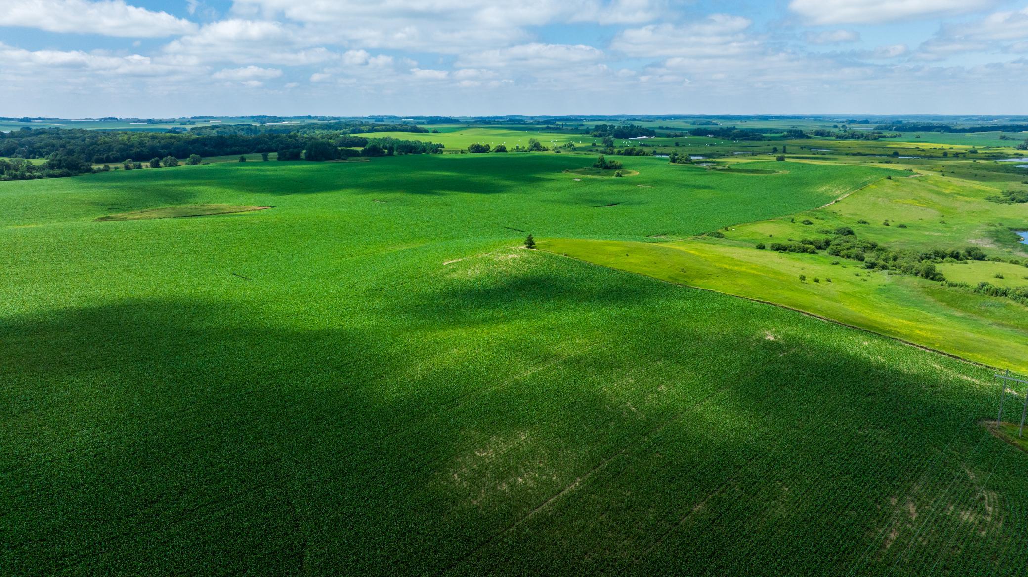 Tbd 370th Street Erhard, MN 56534 - Photo 30 of 31