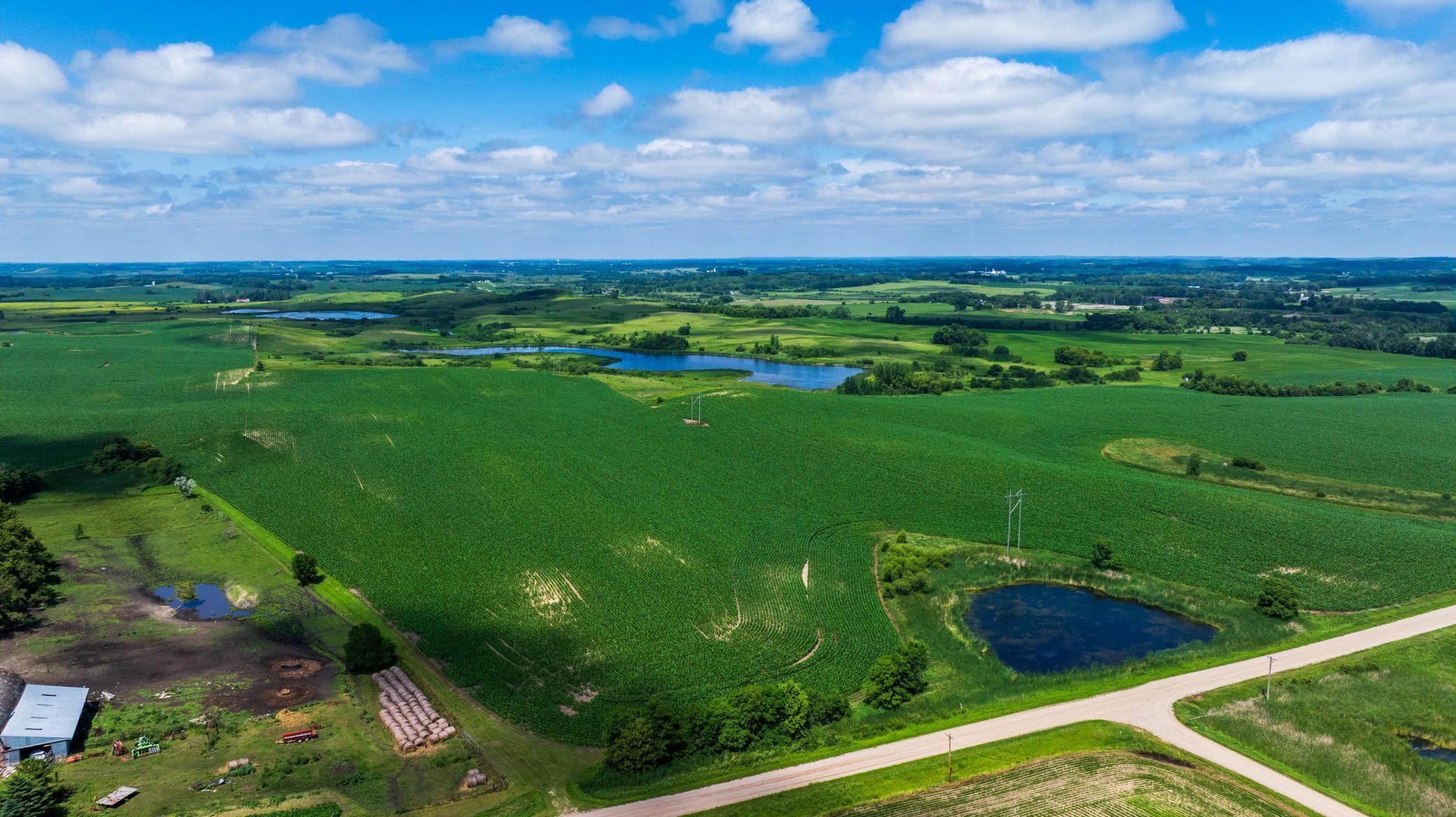 Tbd 370th Street Erhard, MN 56534 - Photo 4 of 31