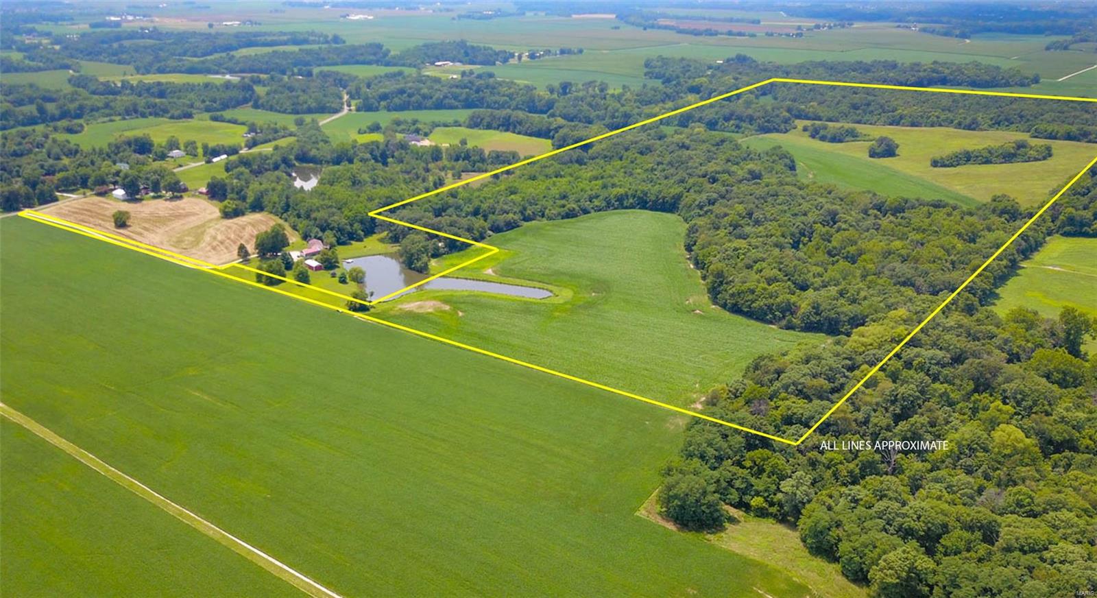 0 Renken Road Dorsey, IL 62021 - Photo 2 of 6