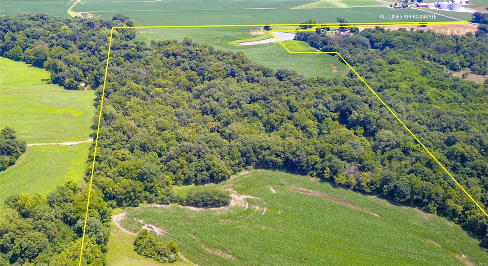 0 Renken Road Dorsey, IL 62021 - Photo 3 of 6