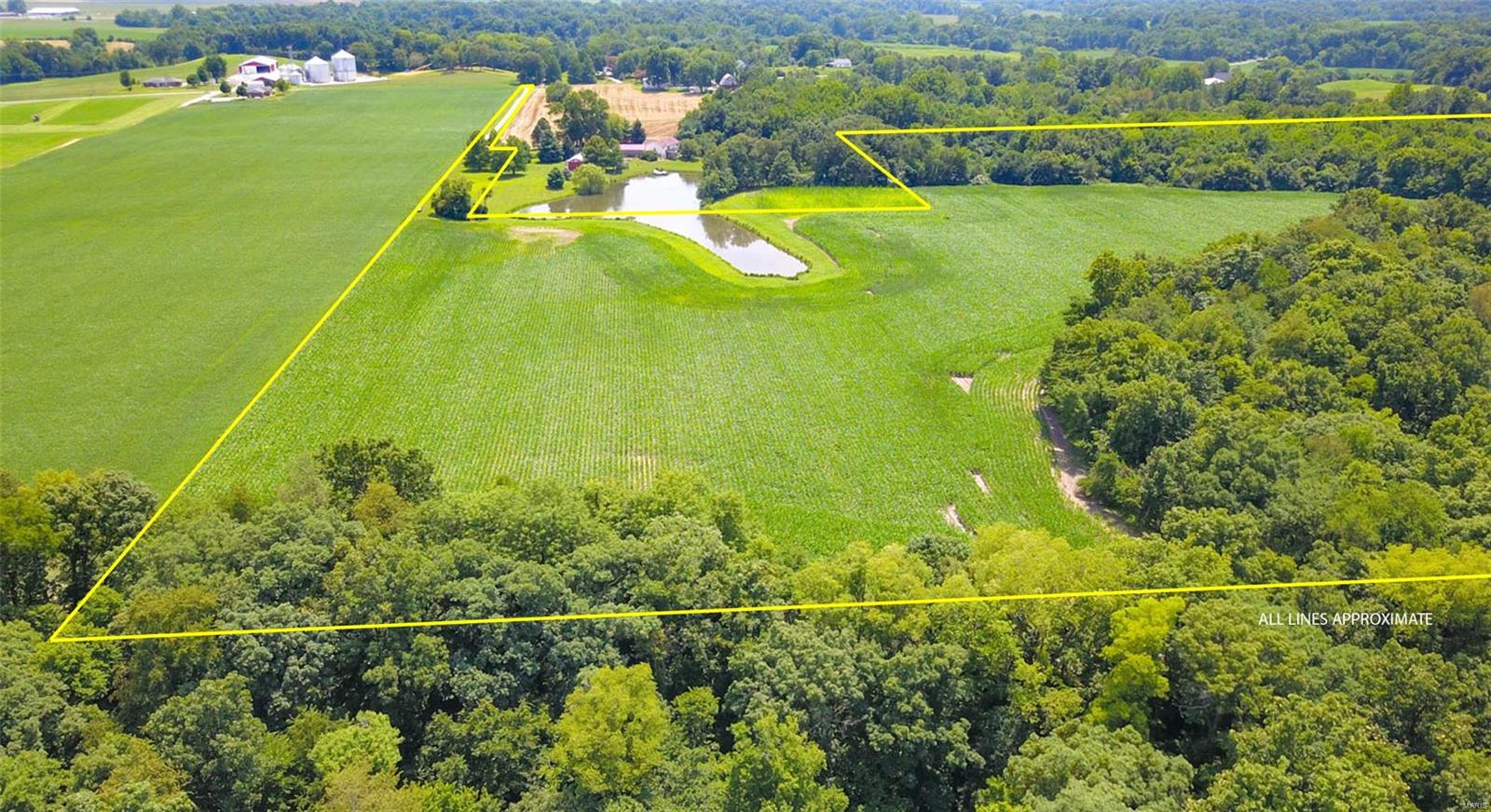 0 Renken Road Dorsey, IL 62021 - Photo 4 of 6