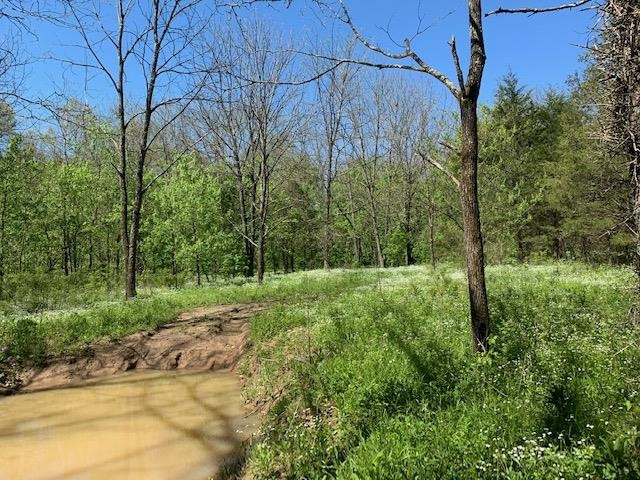 Hammond School Road Owenton, KY 40359 - Photo 7 of 11 Gallery Image 7