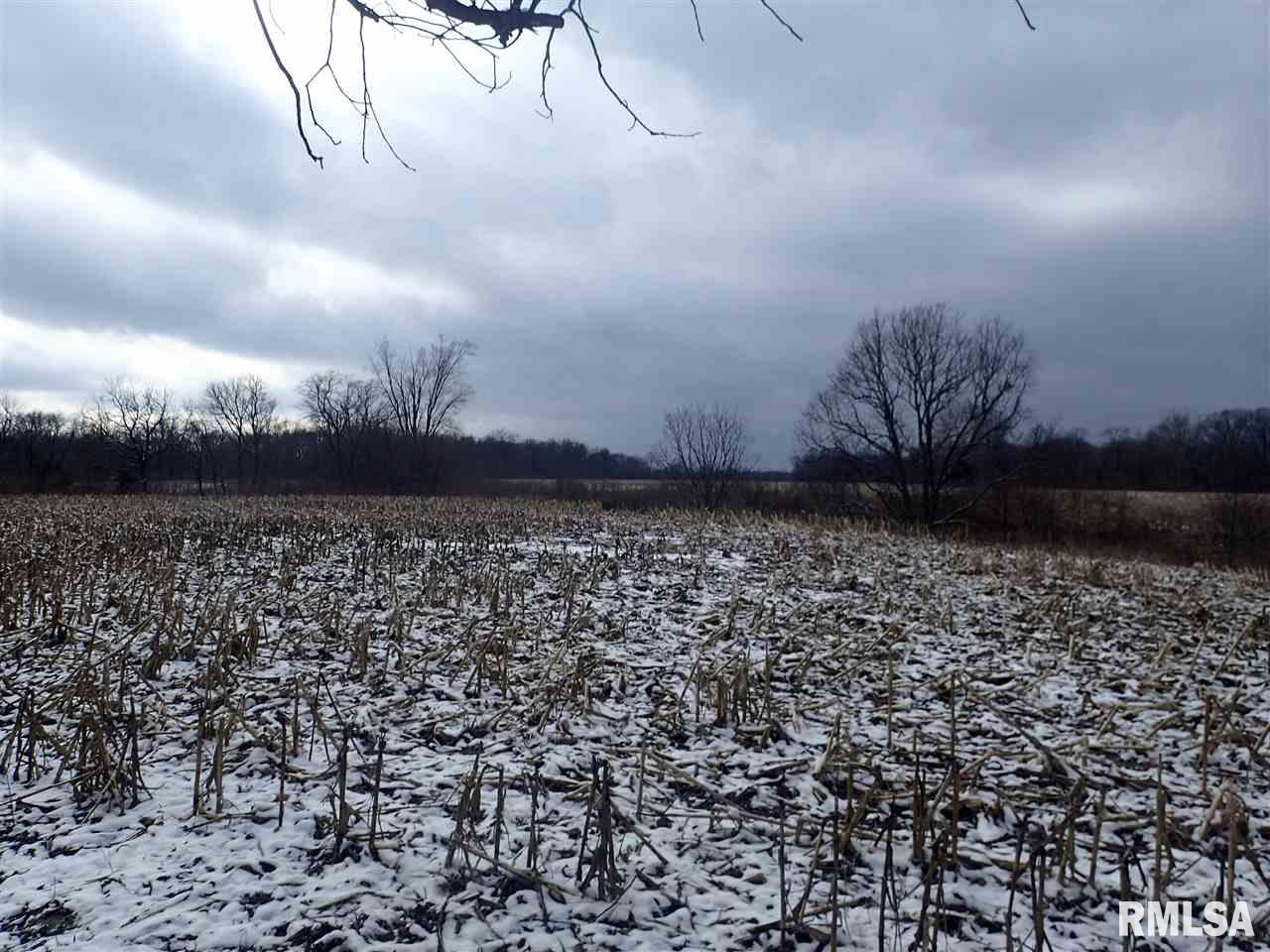 17324 West Shirck Road Glasford, IL 61533 - Photo 1 of 5 Gallery Image 1