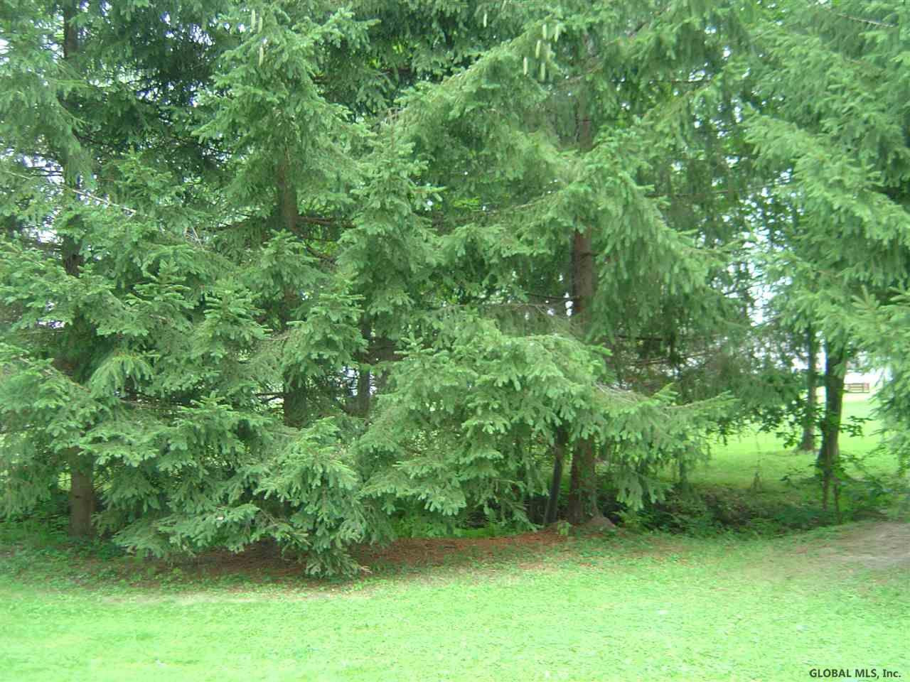 1326 County Line Road Rotterdam, NY 12306 - Photo 24 of 24 Photo 24