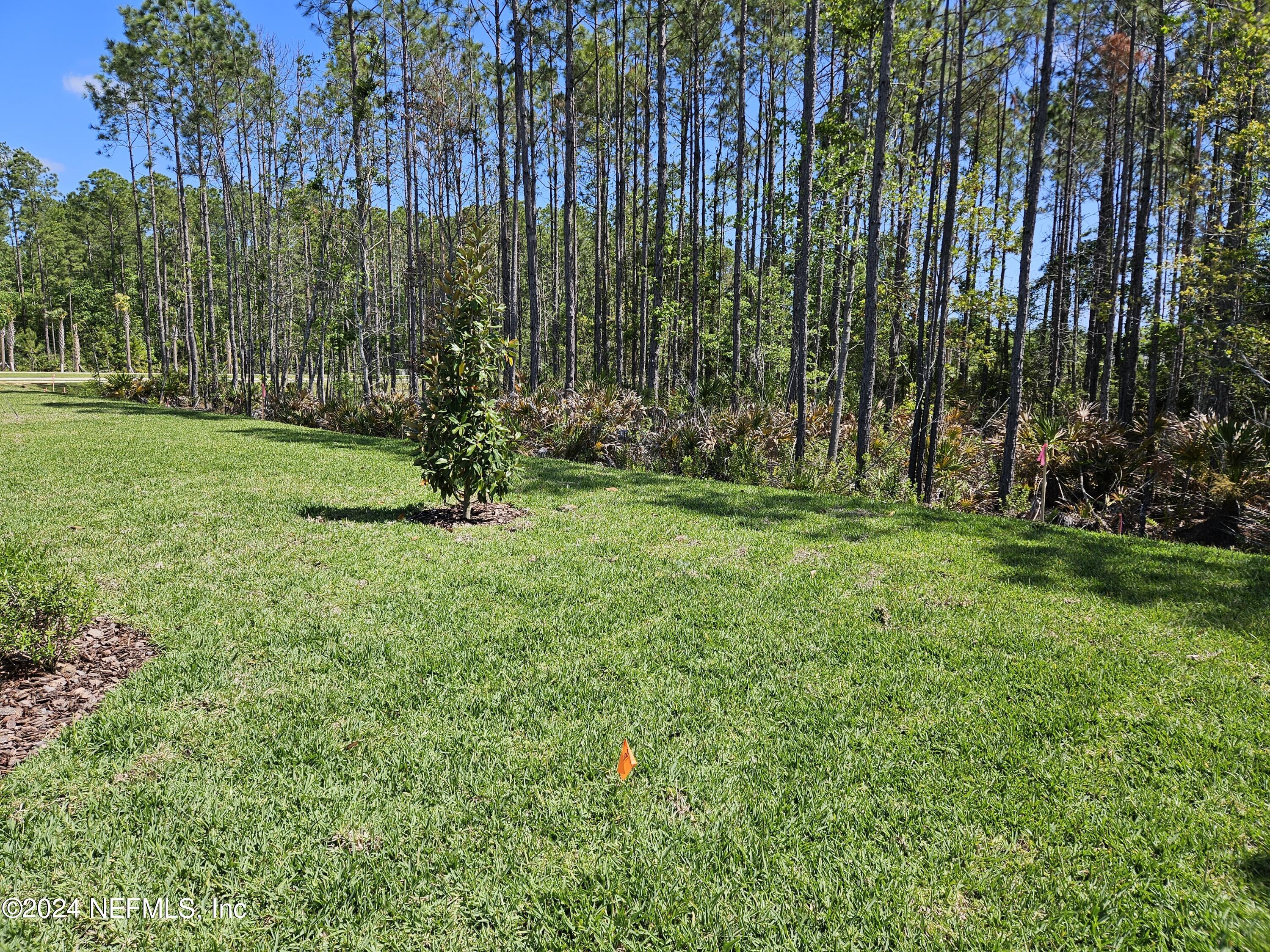 49 Blue Cypress Trail St. Augustine, FL 32084 - Photo 23 of 23 a view of a park with large trees