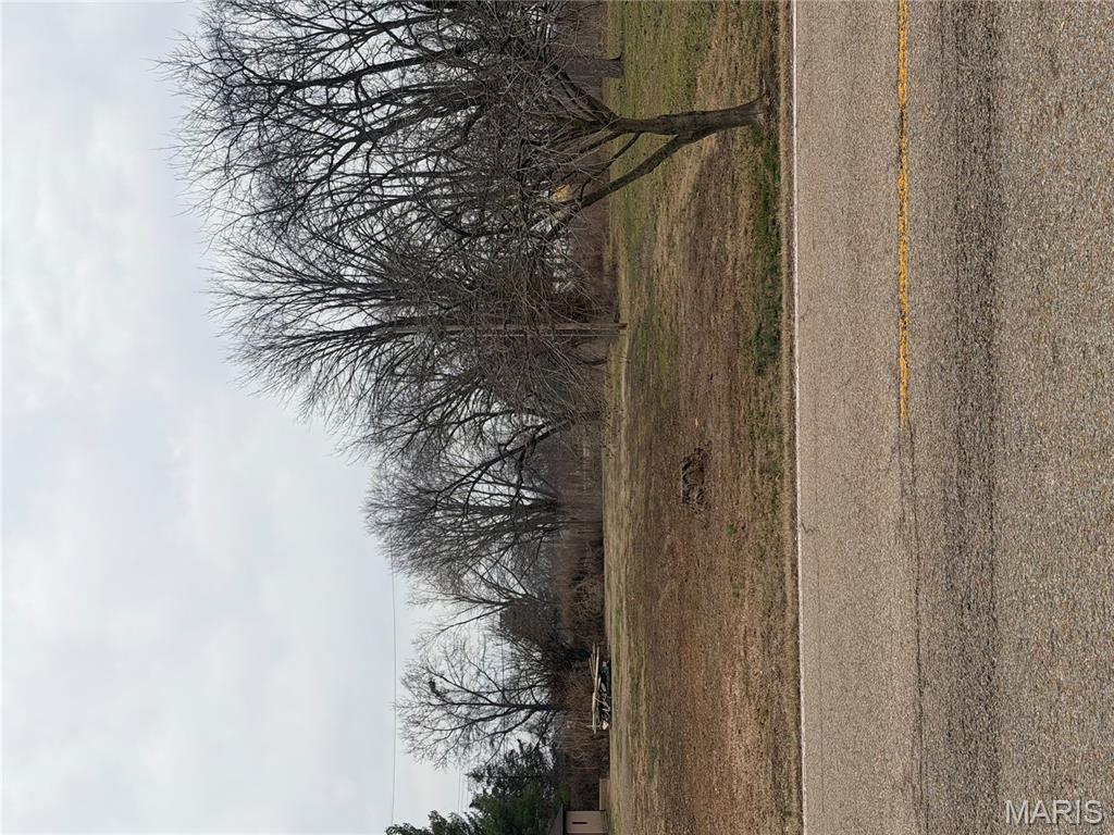 2109 South Main Street Dupo, IL 62239 - Photo 7 of 7 Gallery Image 7