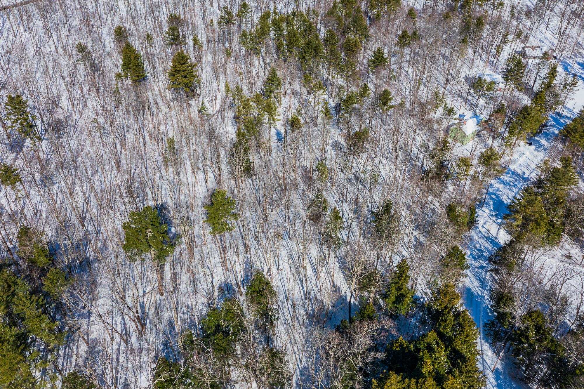 5417 Fletcher Lane, Unit 5471 Quechee, VT 05059 - Photo 5 of 11